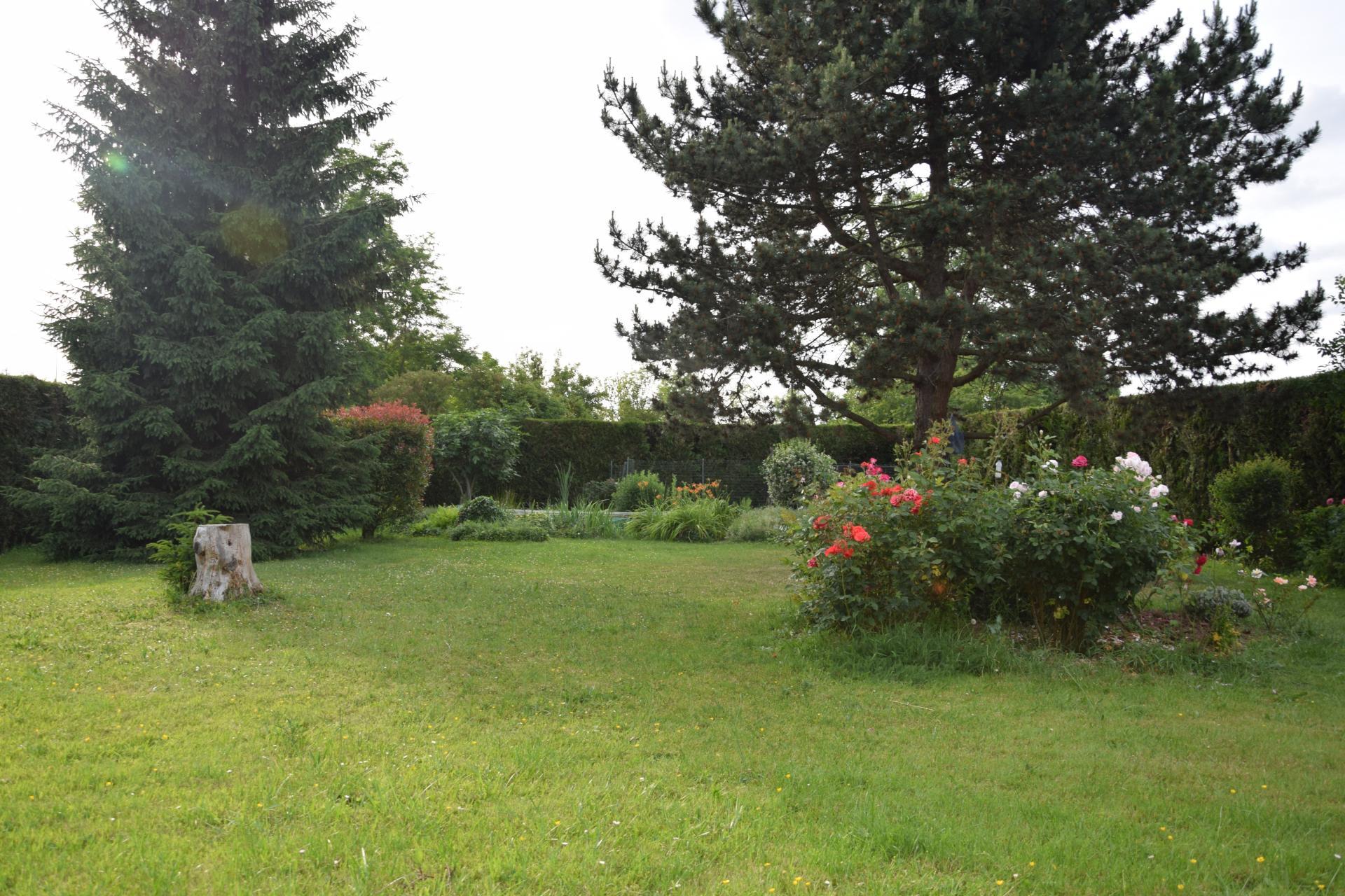 Photo-terrain
