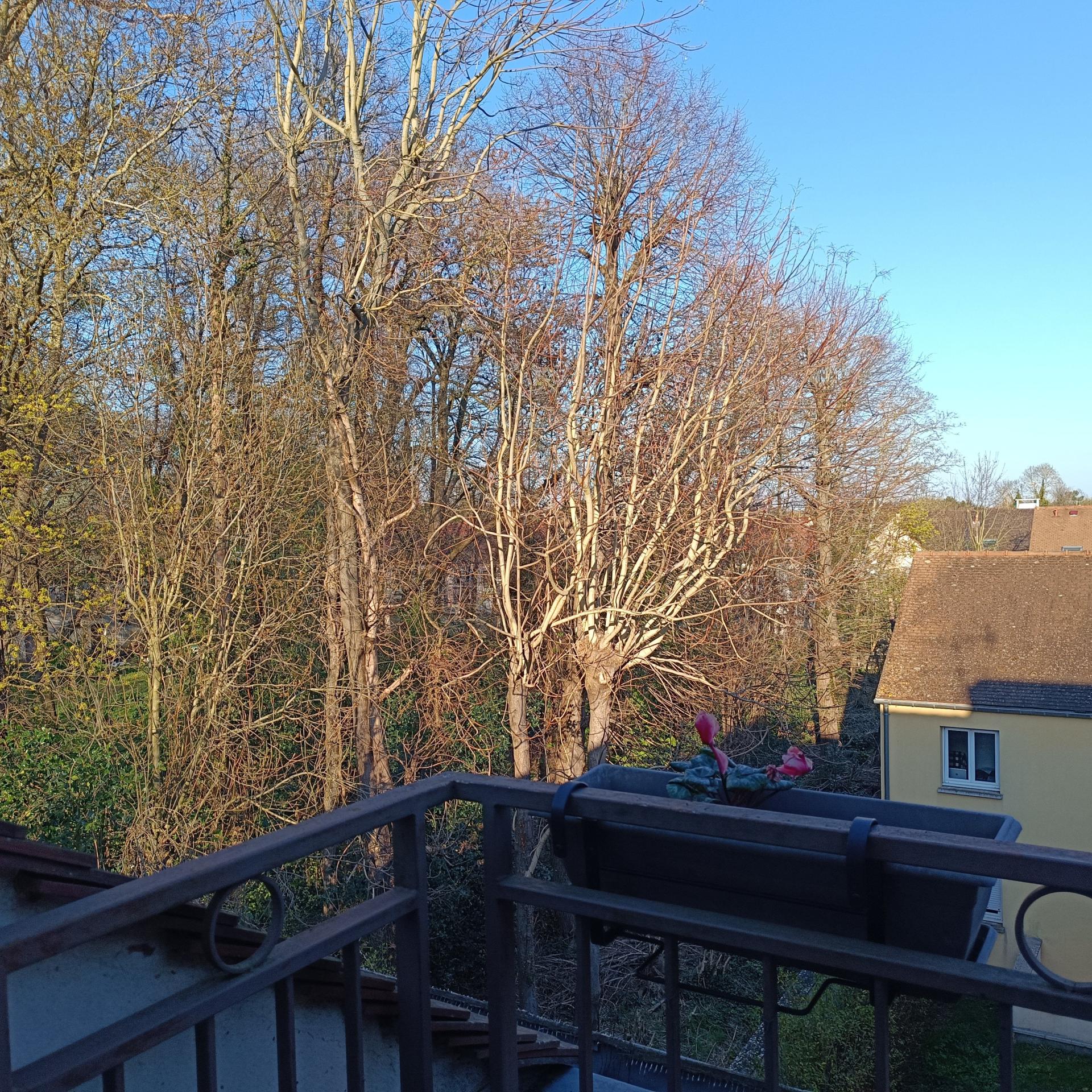 Photo-appartement