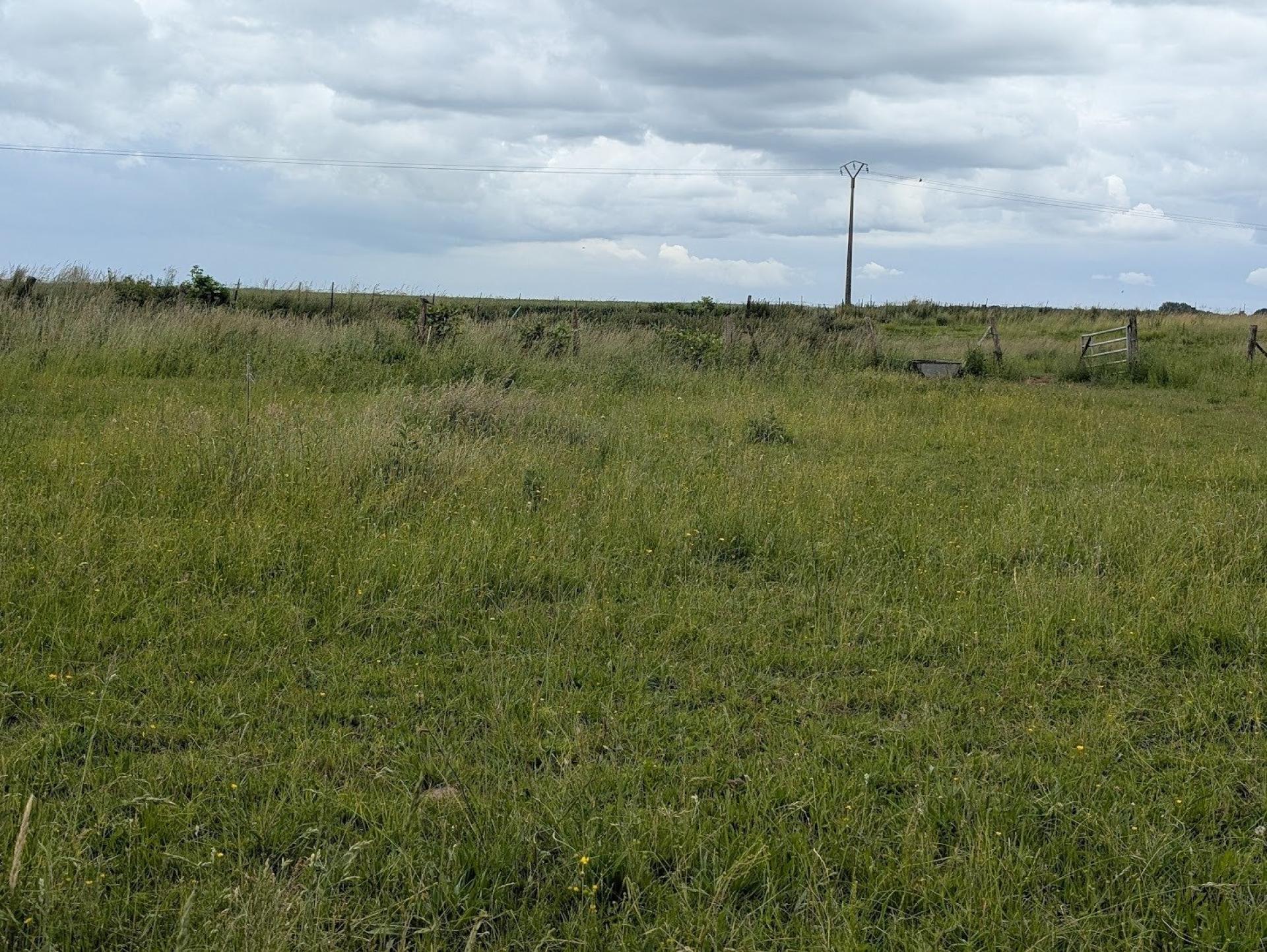 Photo-terrain