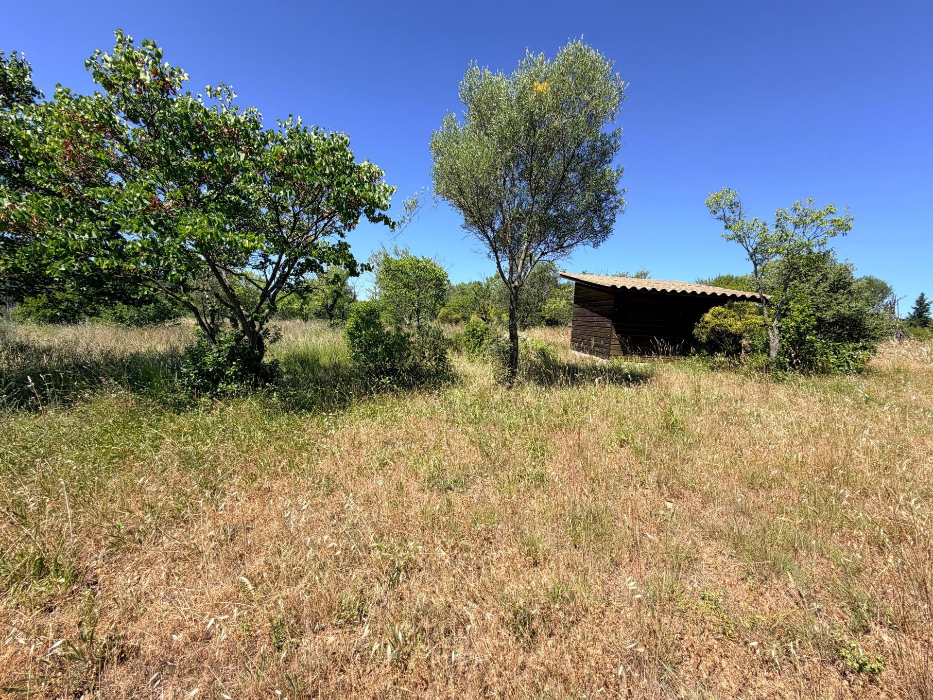 Photo-terrain