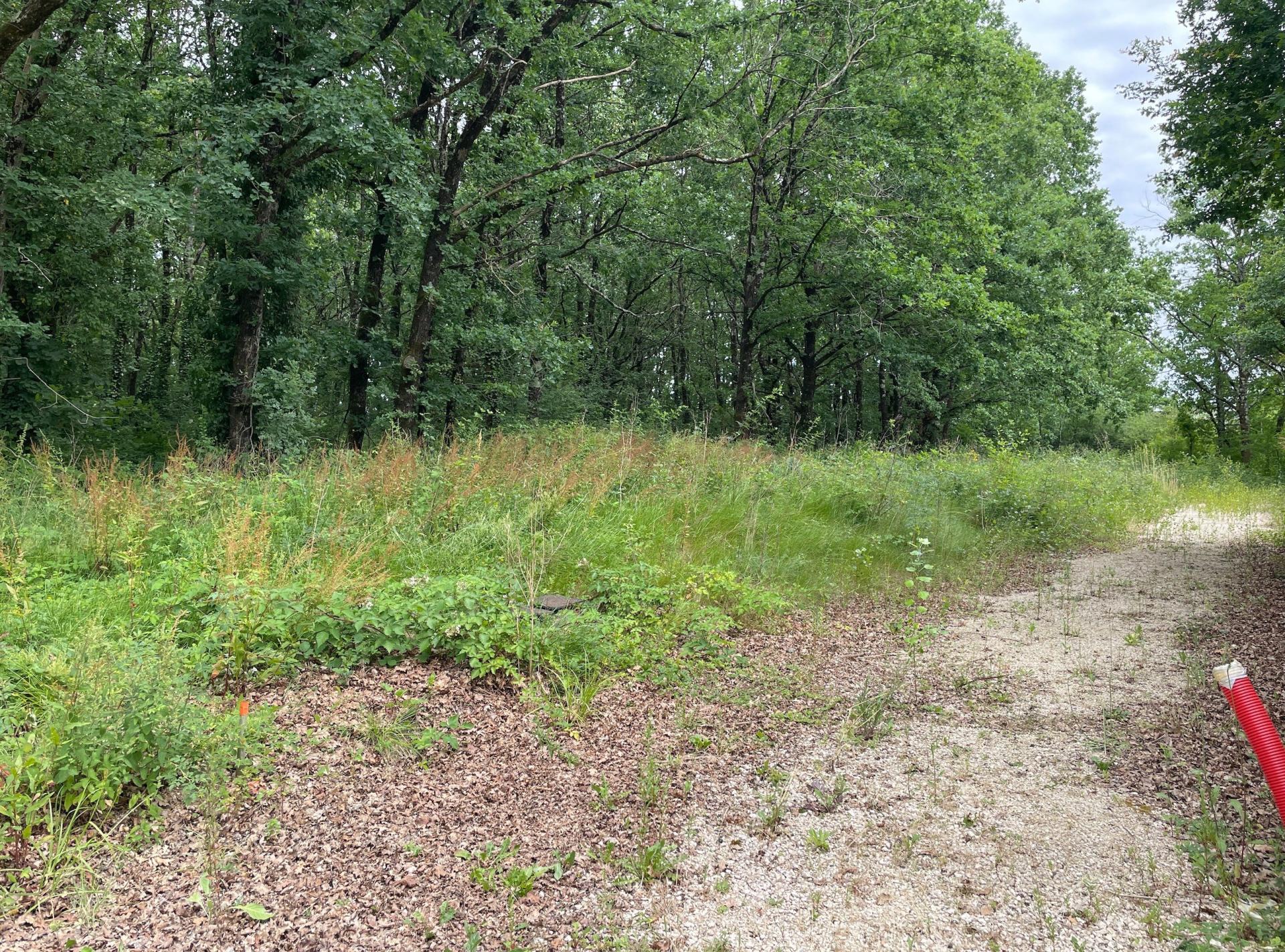 Photo-terrain