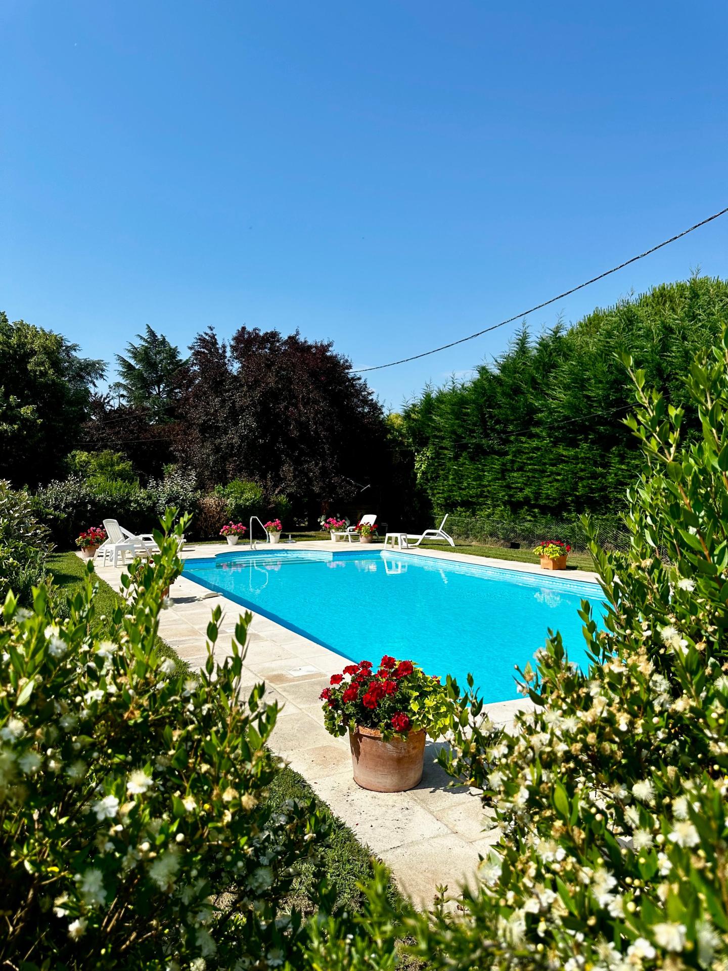 Photo 12 de l'annonce.