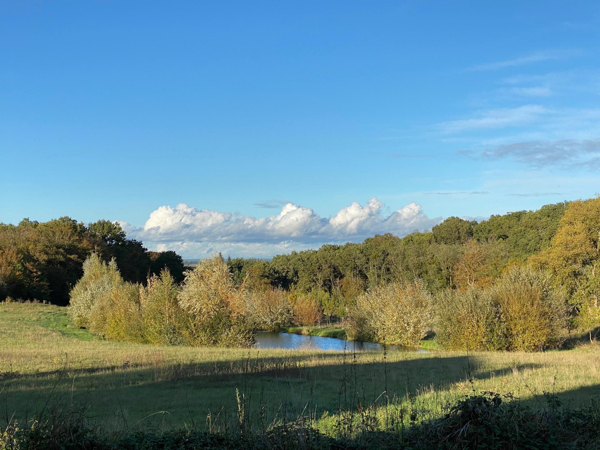 Photo-terrain