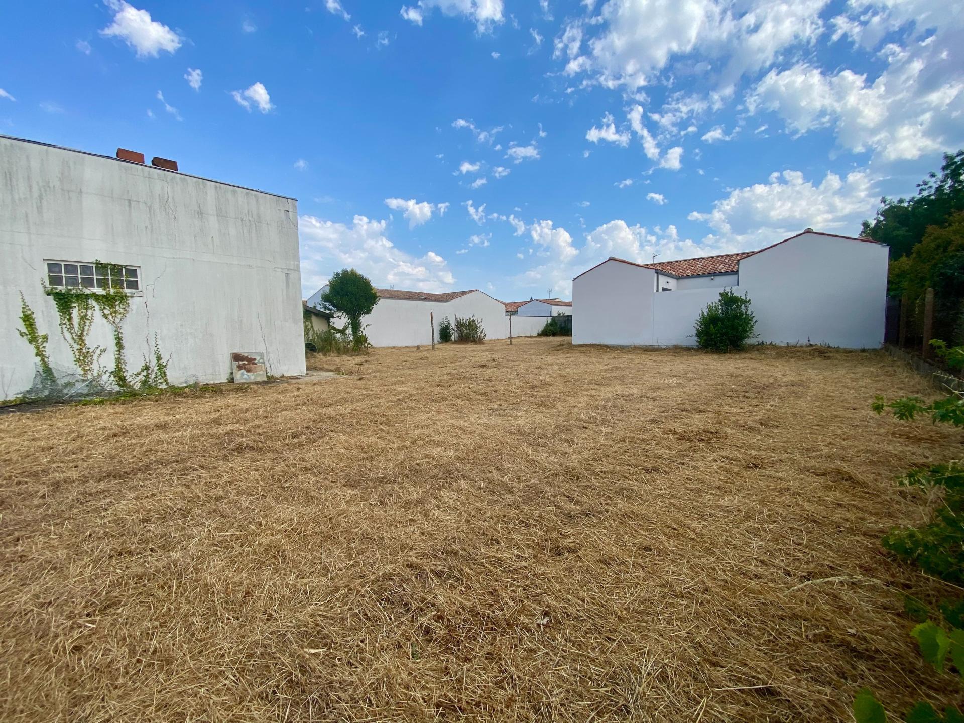 Photo-terrain