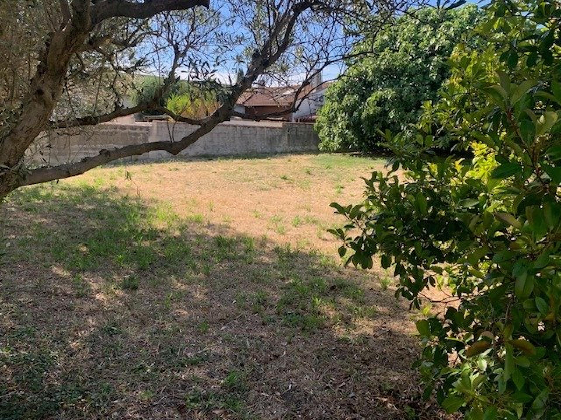 Photo-terrain