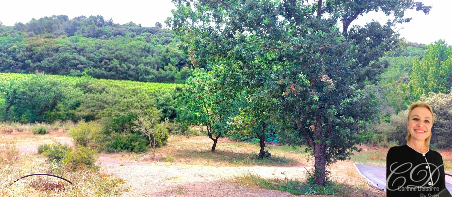 Photo-terrain