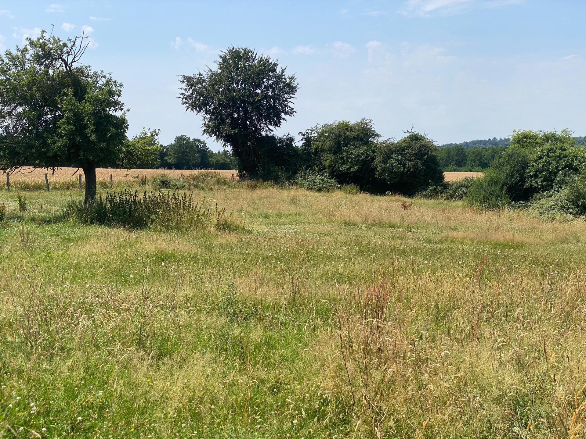 Photo-terrain