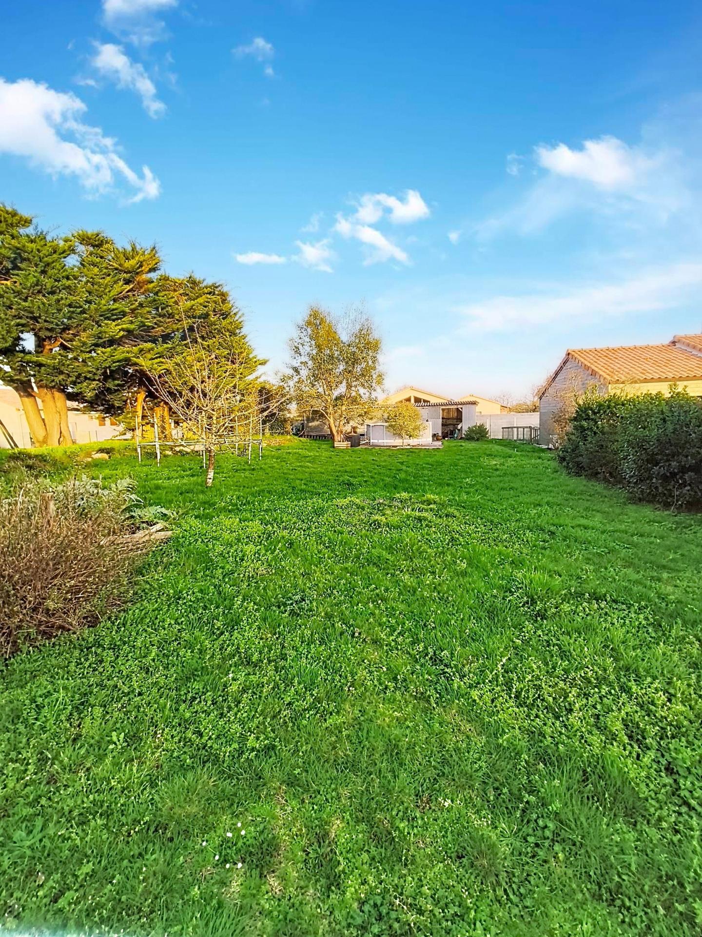 Photo-terrain