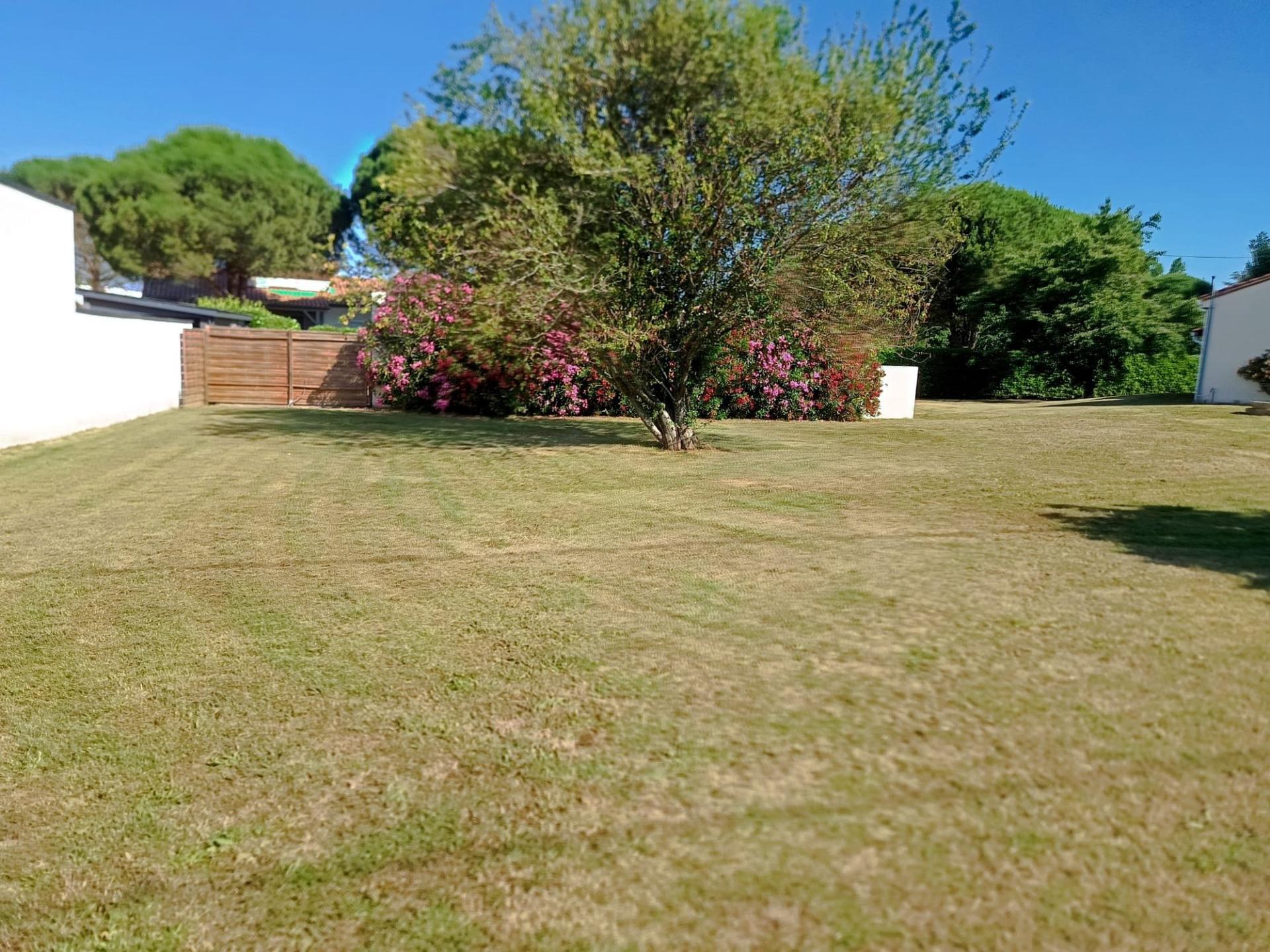 Photo-terrain