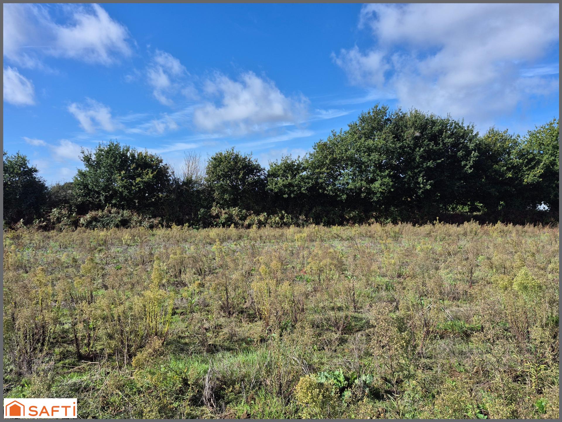 Photo-terrain