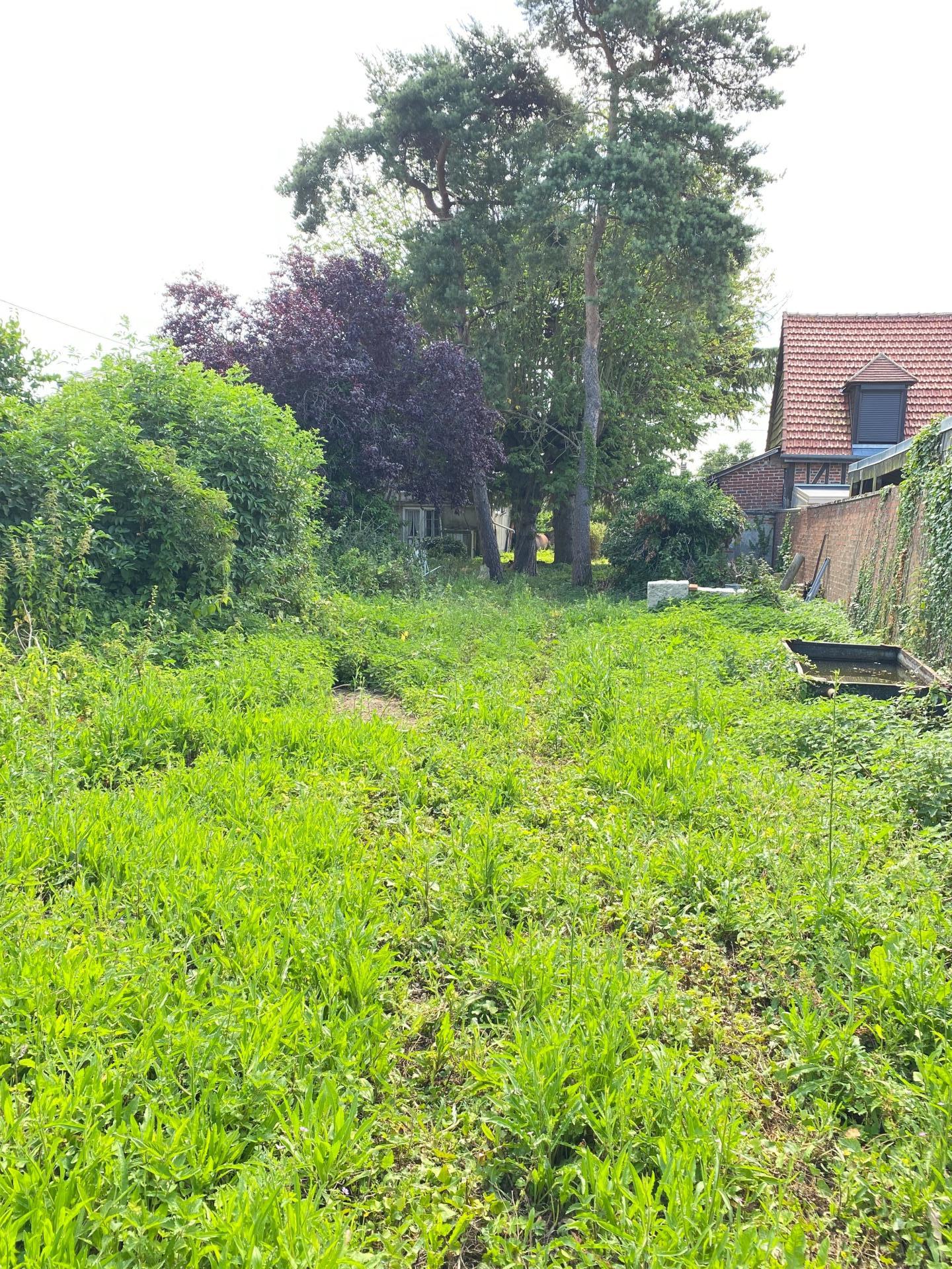 Photo-terrain