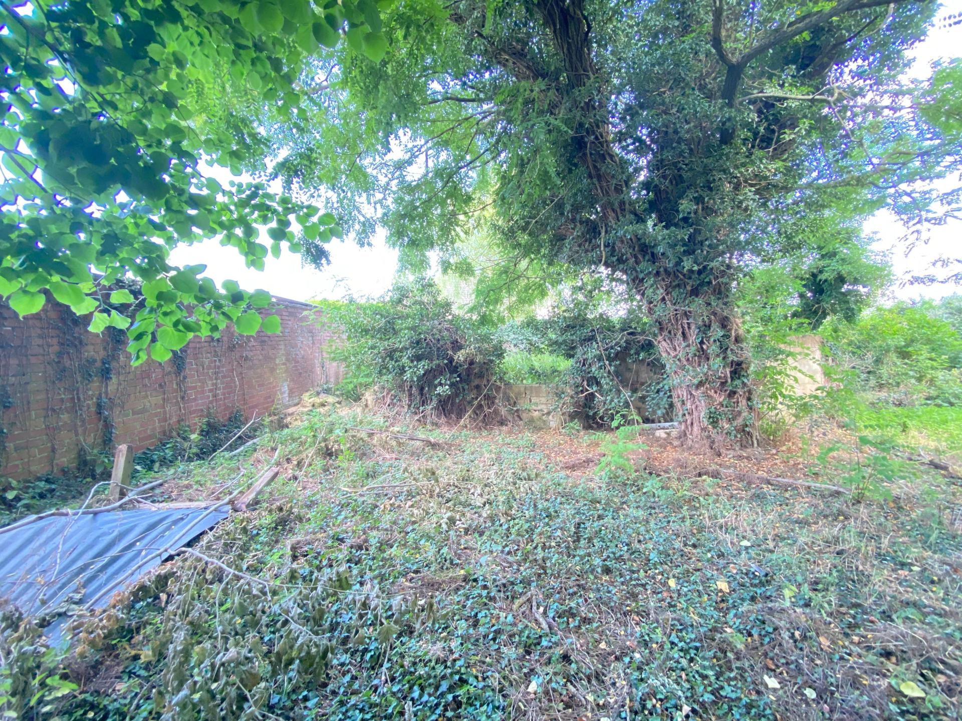 Photo-terrain