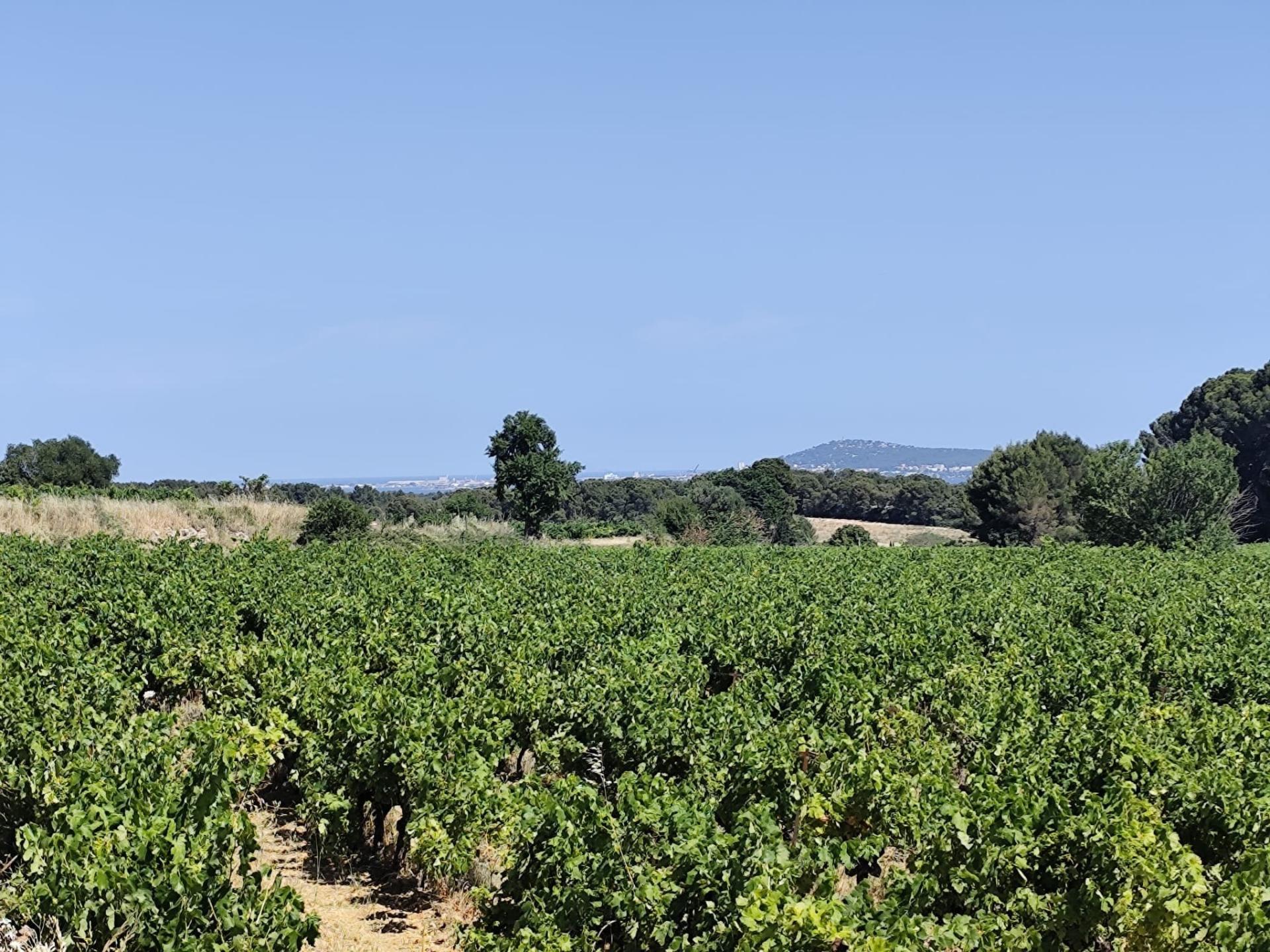 Photo-terrain