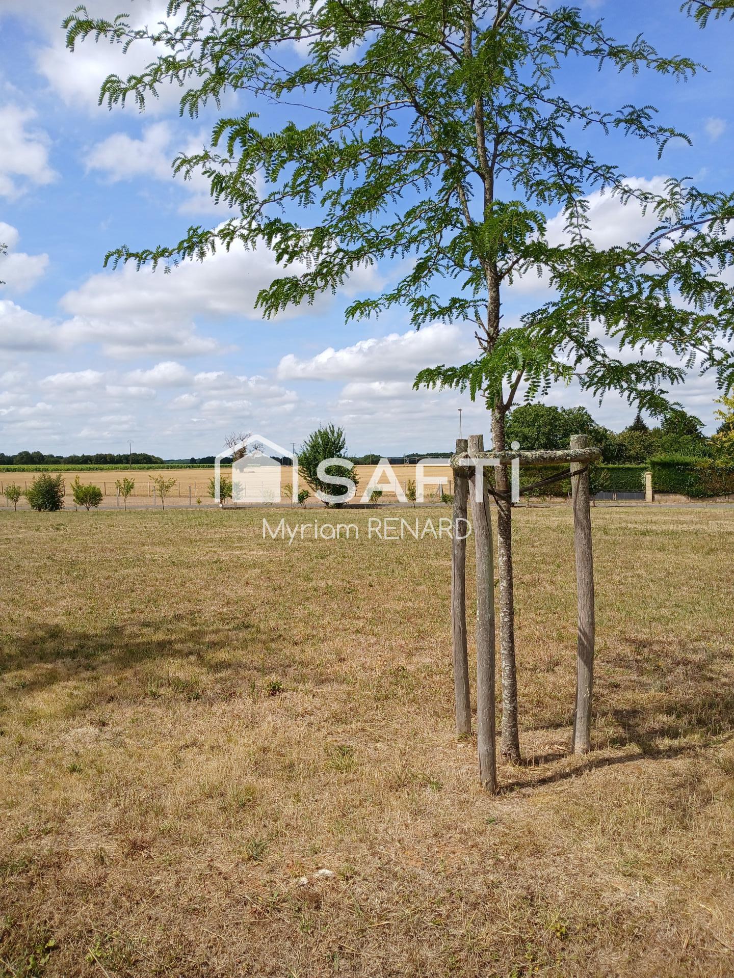 Photo-terrain
