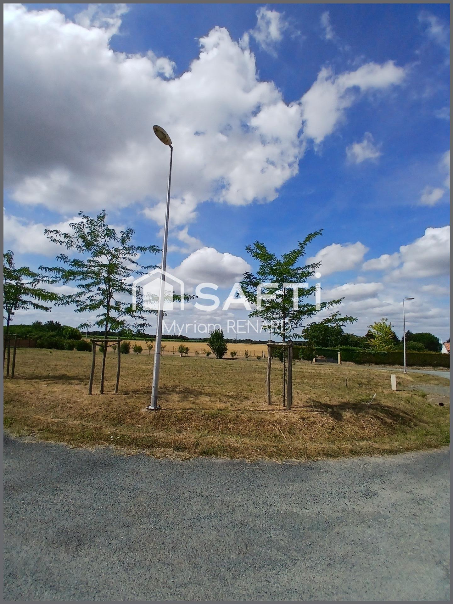 Photo-terrain