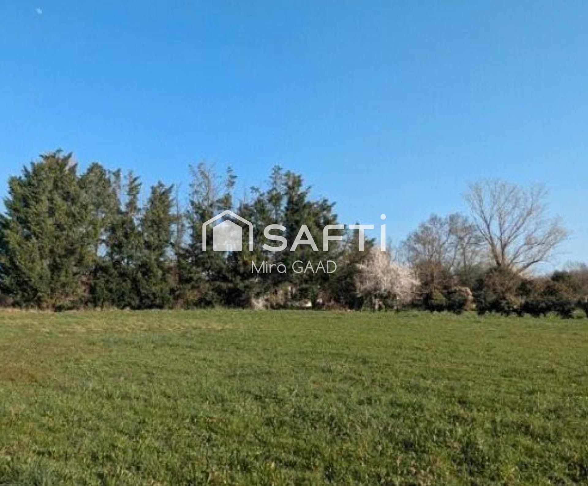 Photo-terrain
