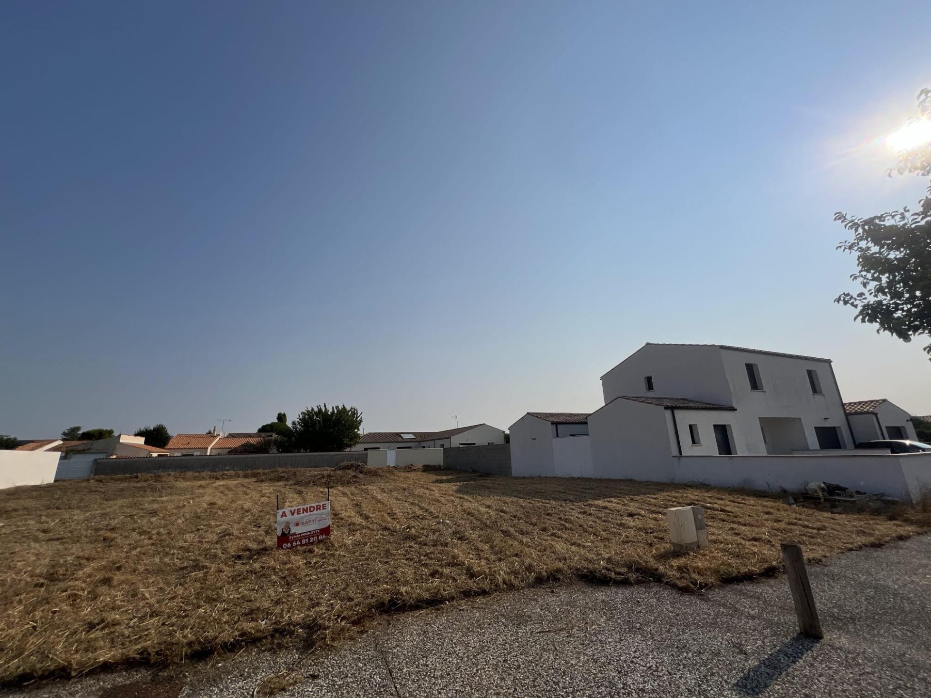 Photo-terrain