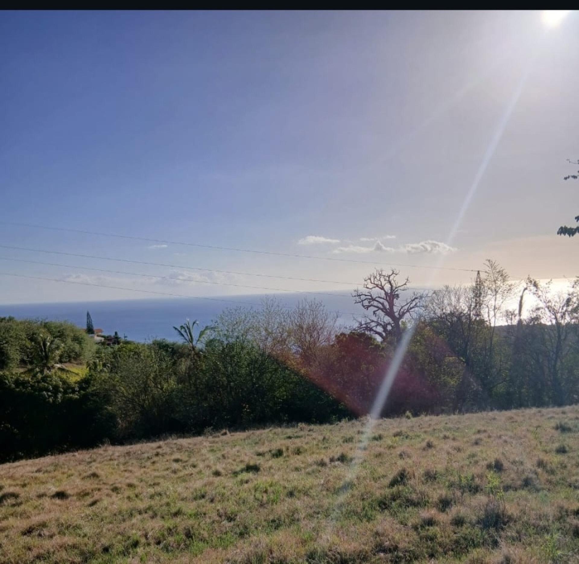 Photo-terrain
