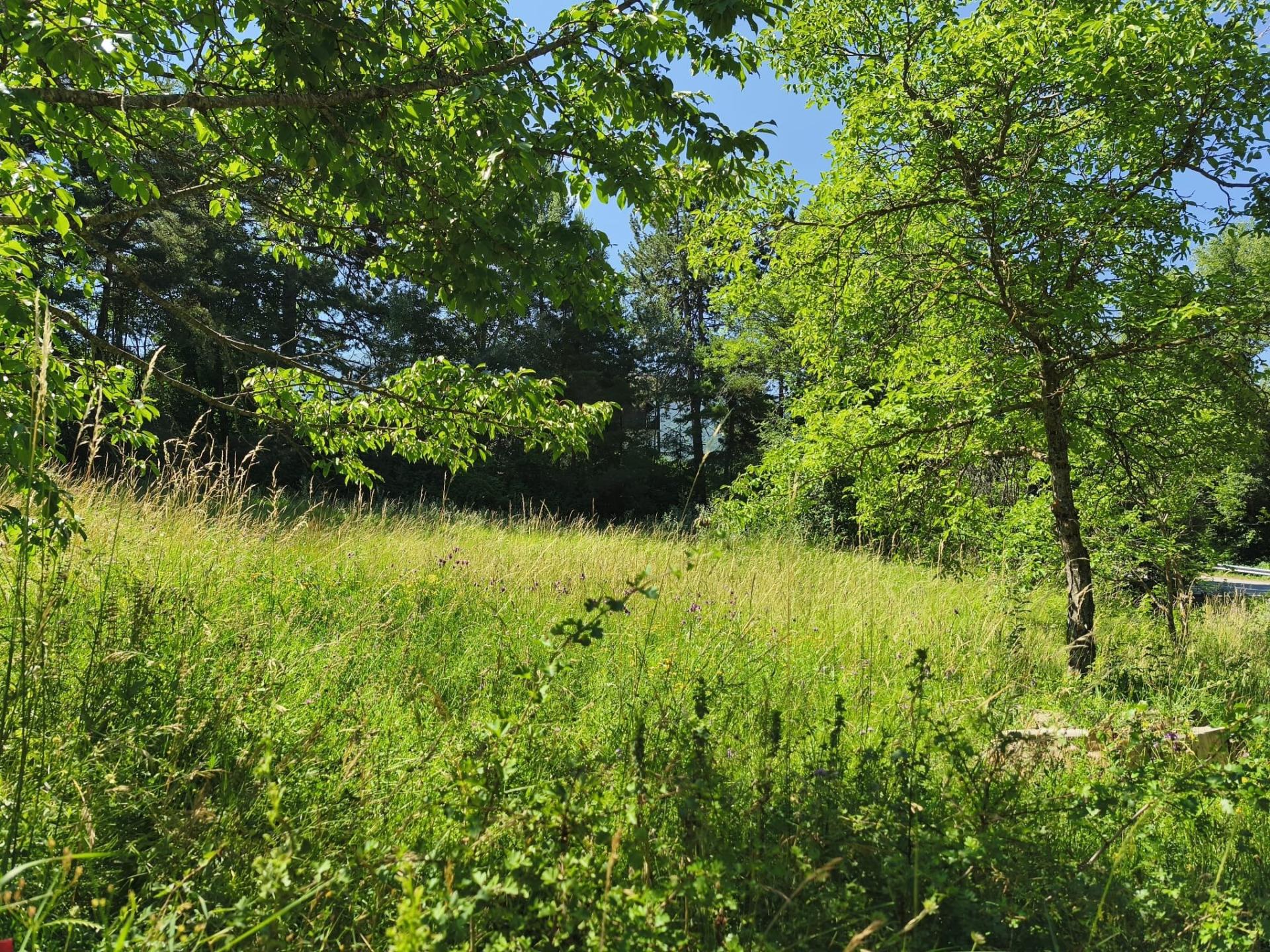 Photo-terrain