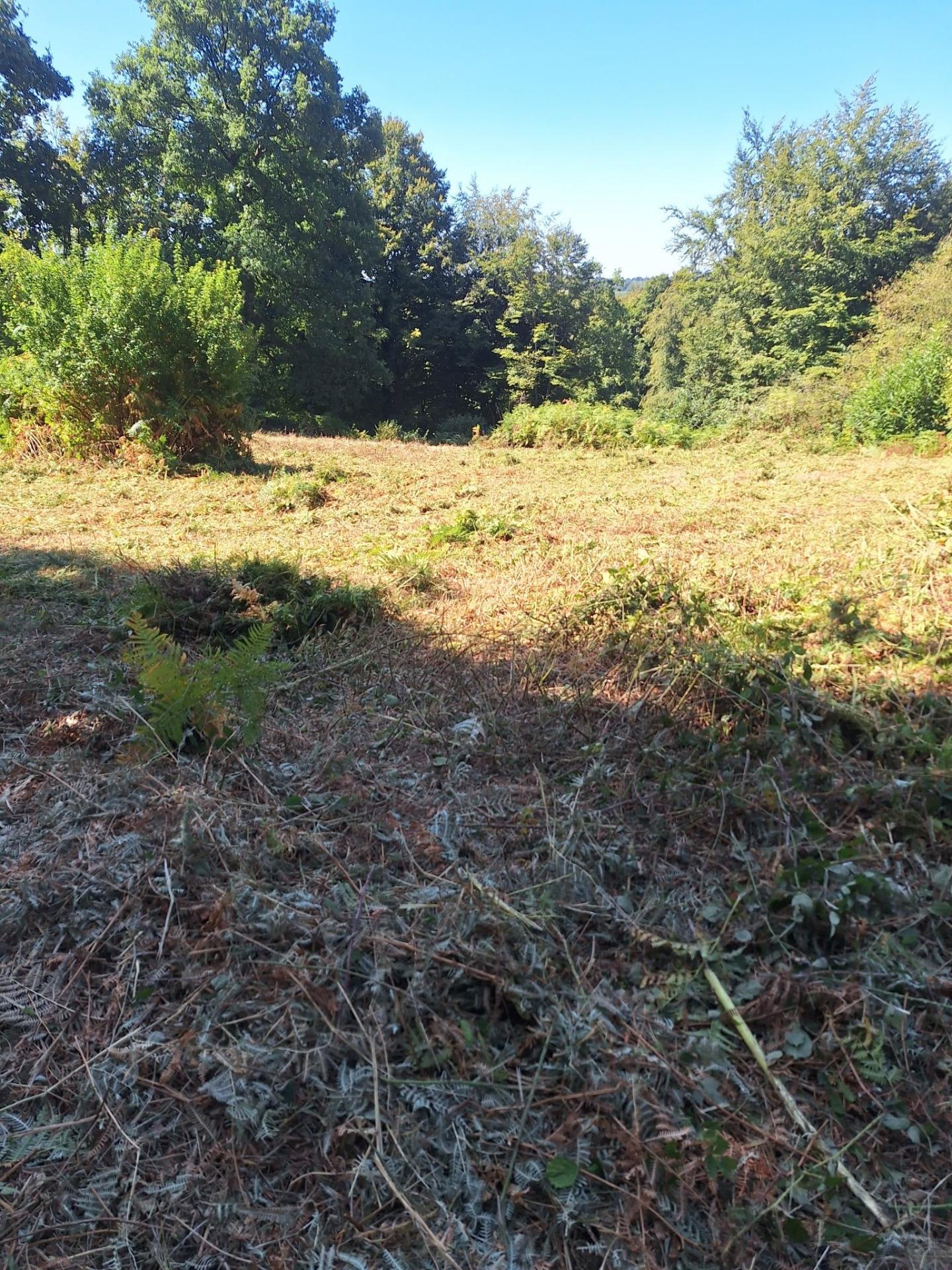 Photo-terrain