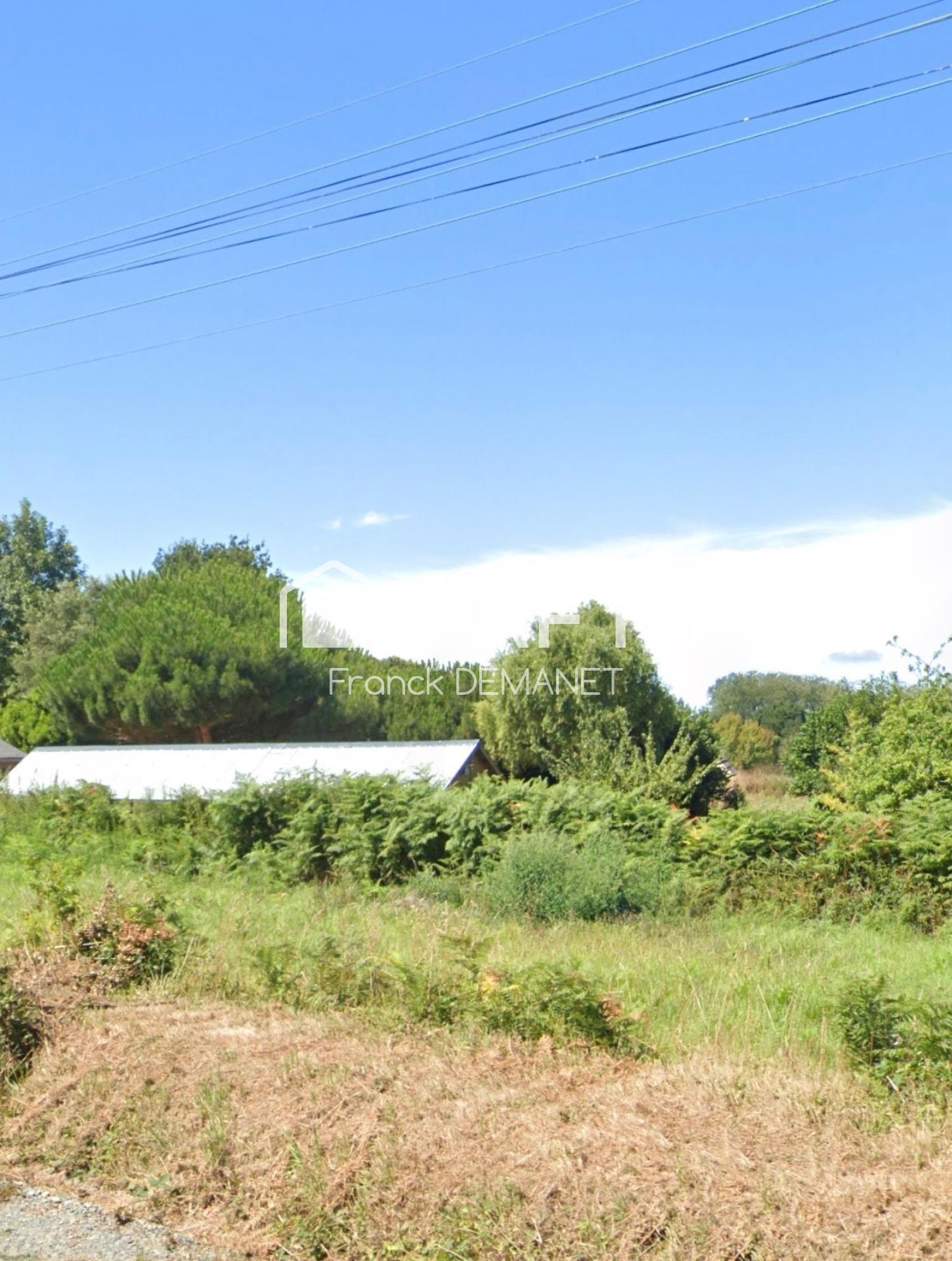 Photo-terrain
