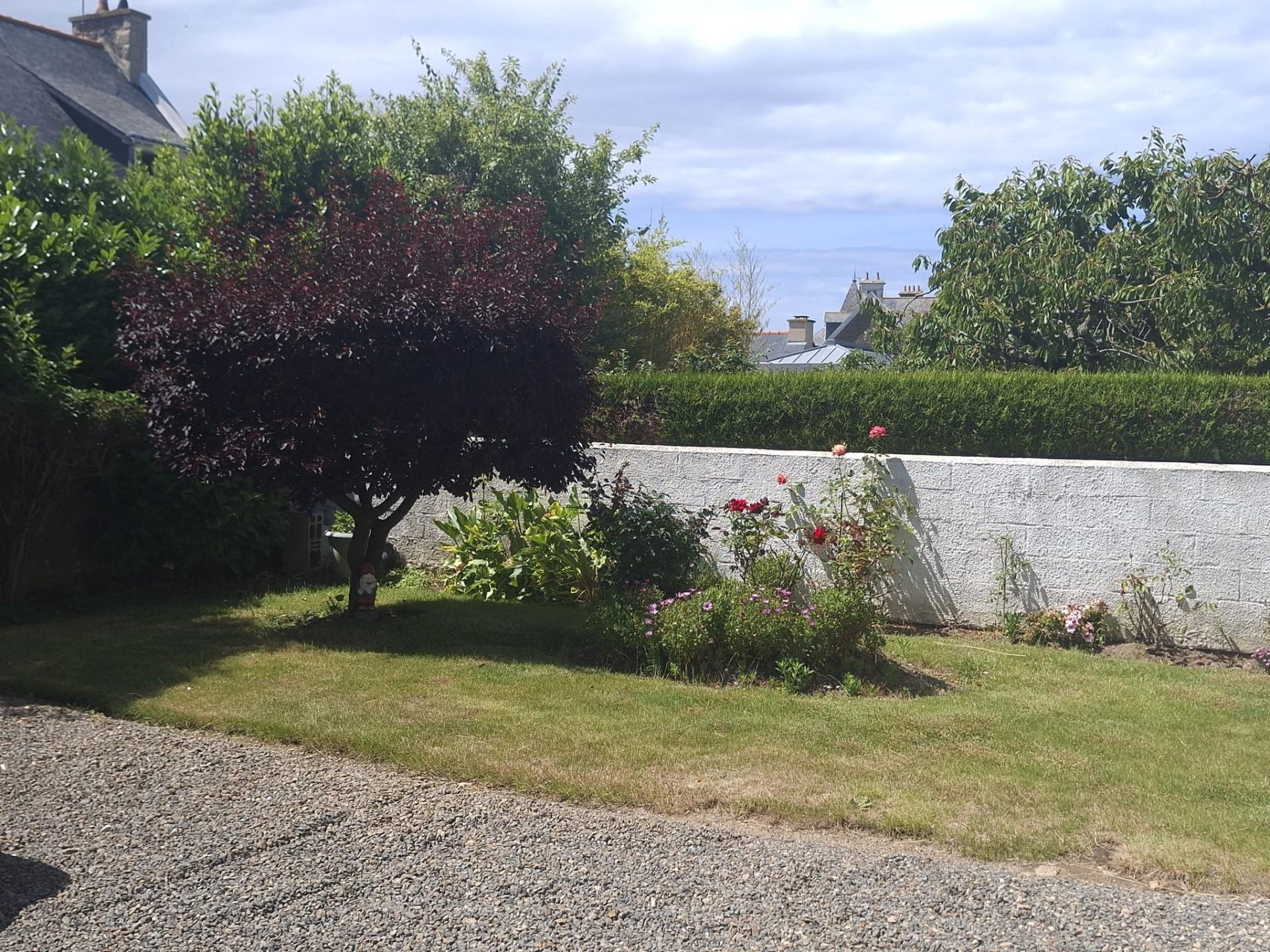 Photo 2 de l'annonce.