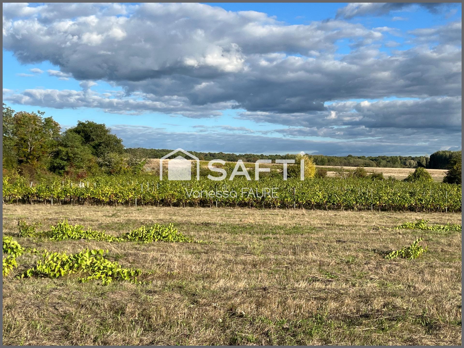 Photo-terrain