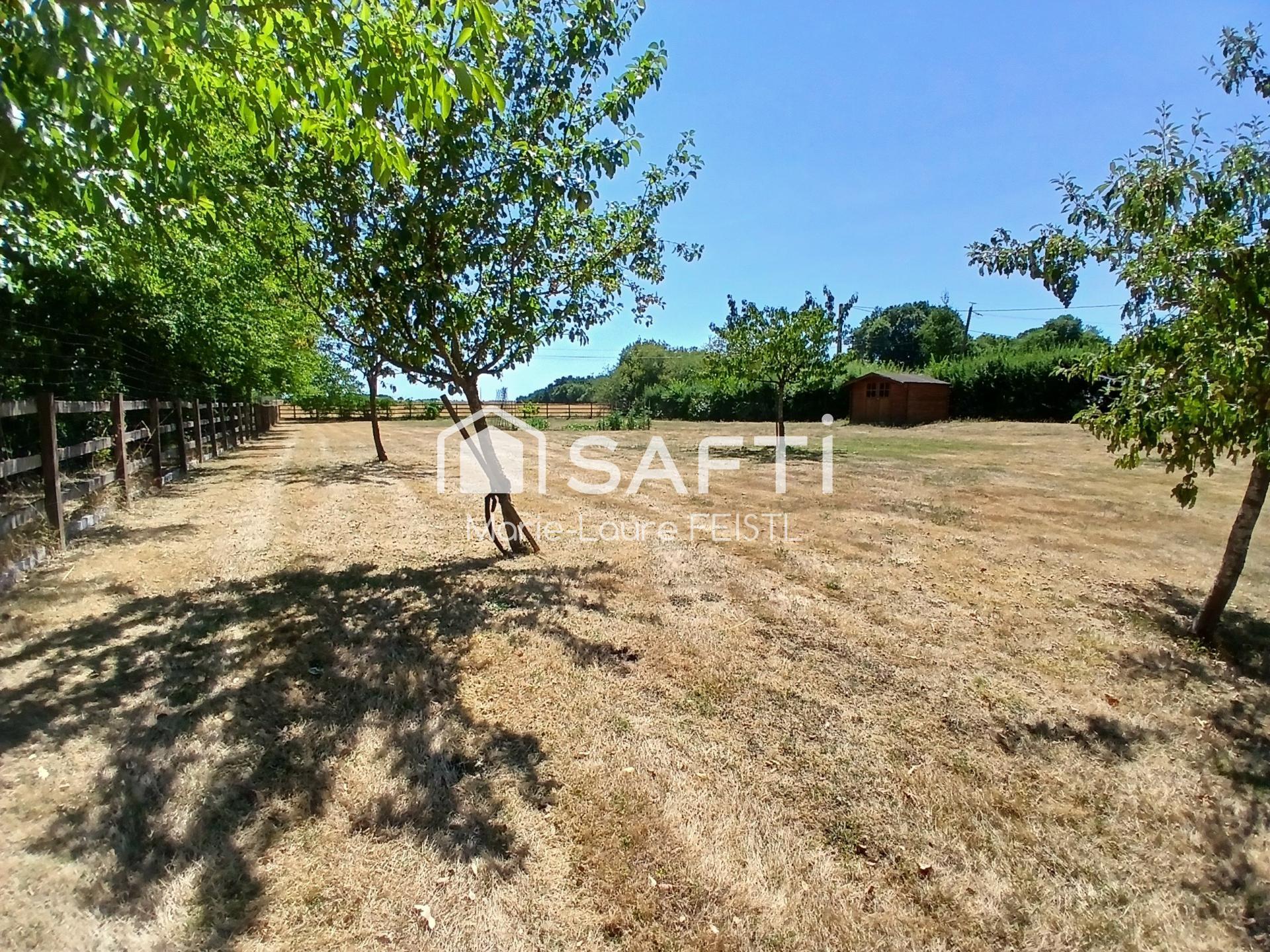 Photo SAFTI — Maison 13 pièces, 295 m² à Charnizay 4