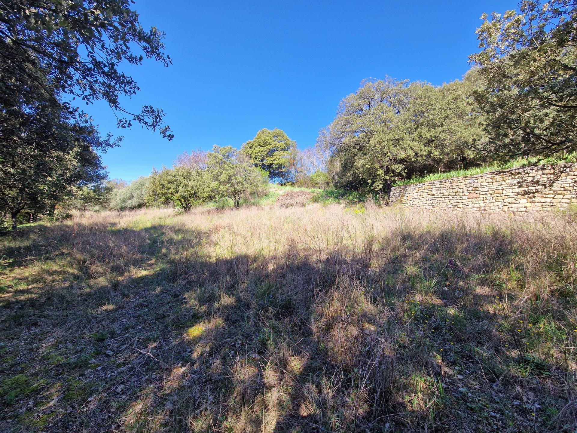 Photo-terrain