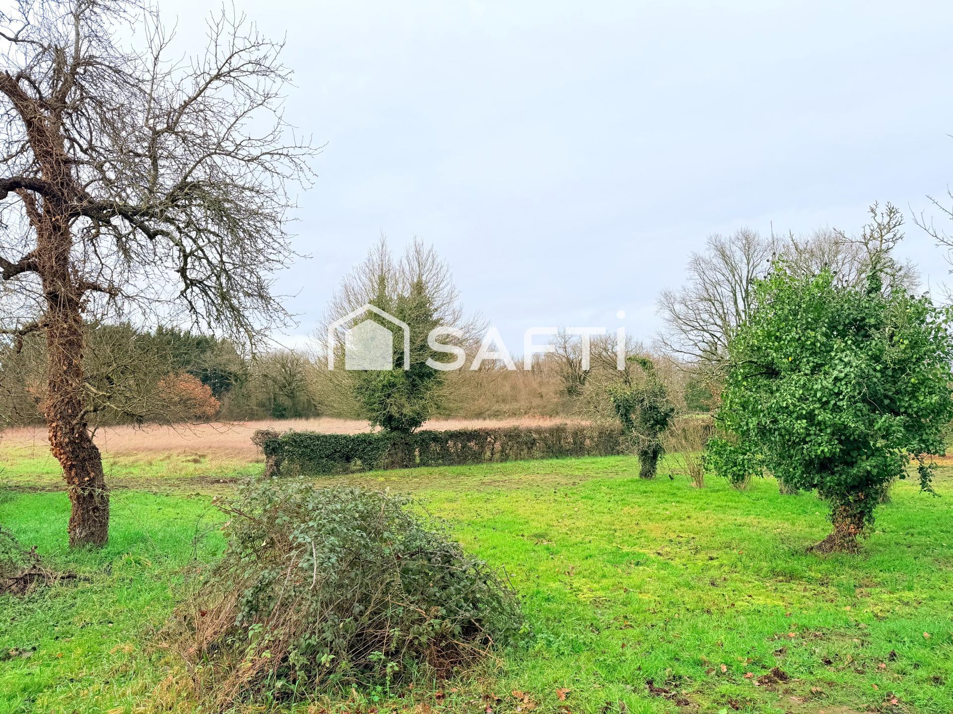 Photo-terrain