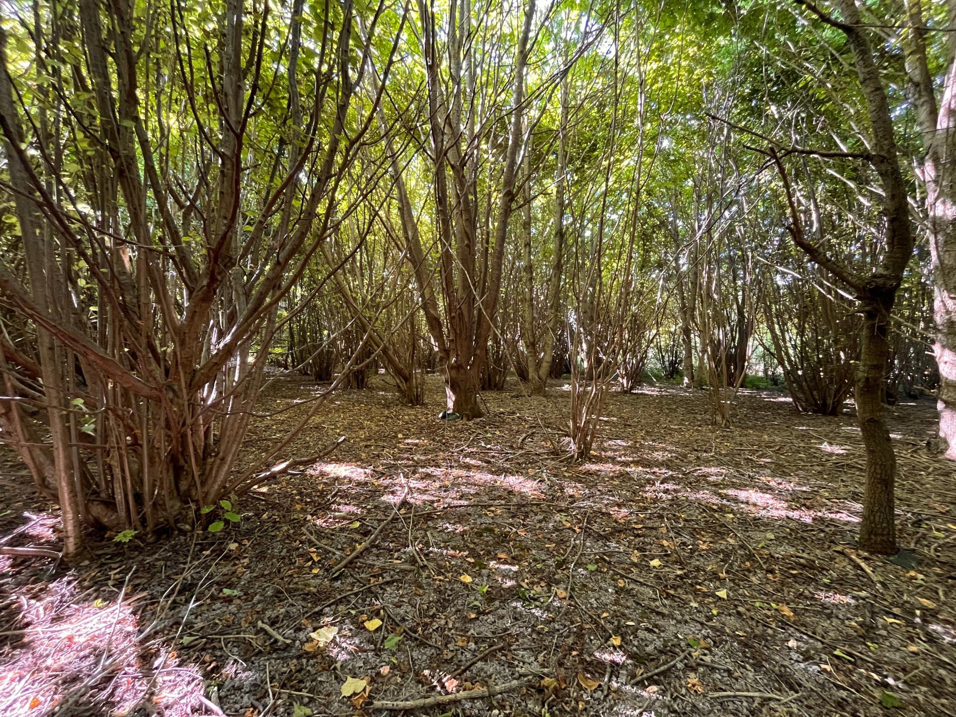 Photo-terrain