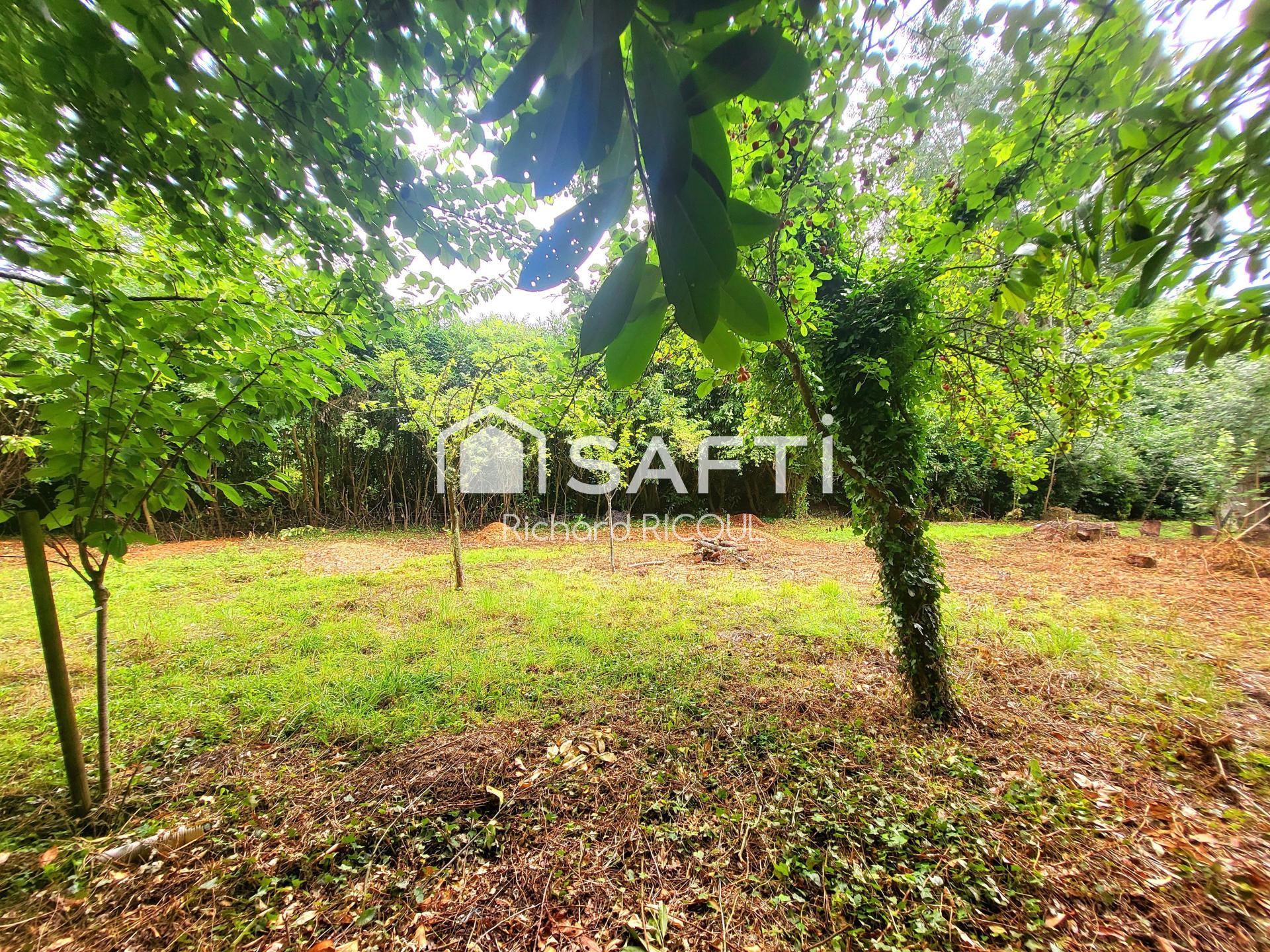 Photo-terrain