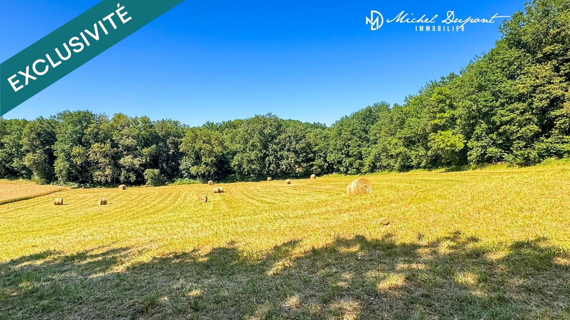 Une opportunité foncière rare entre Dordogne et Vézère