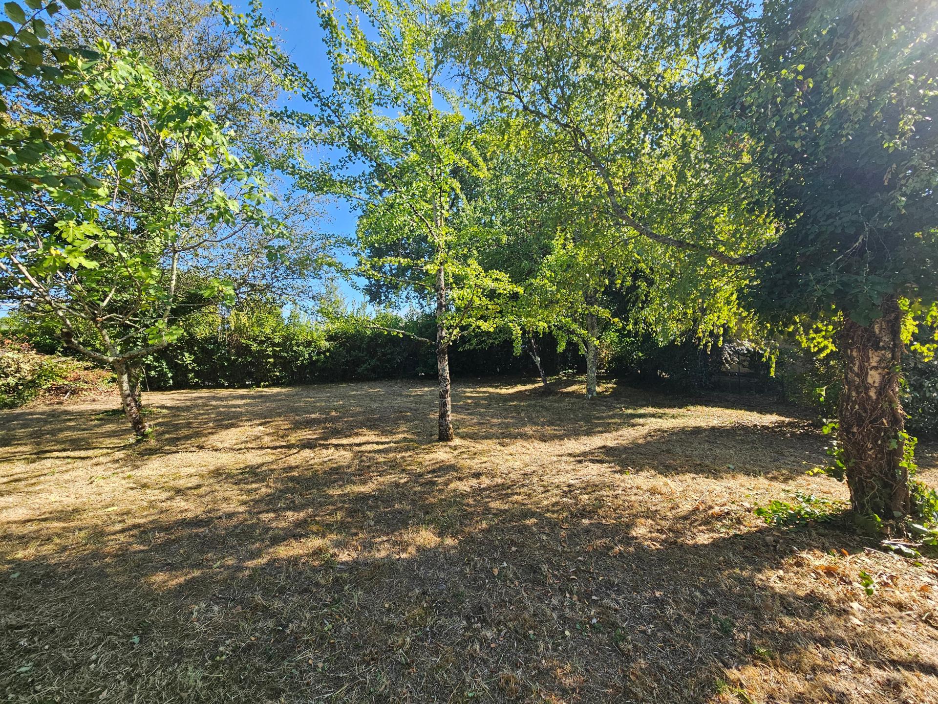 Photo-terrain