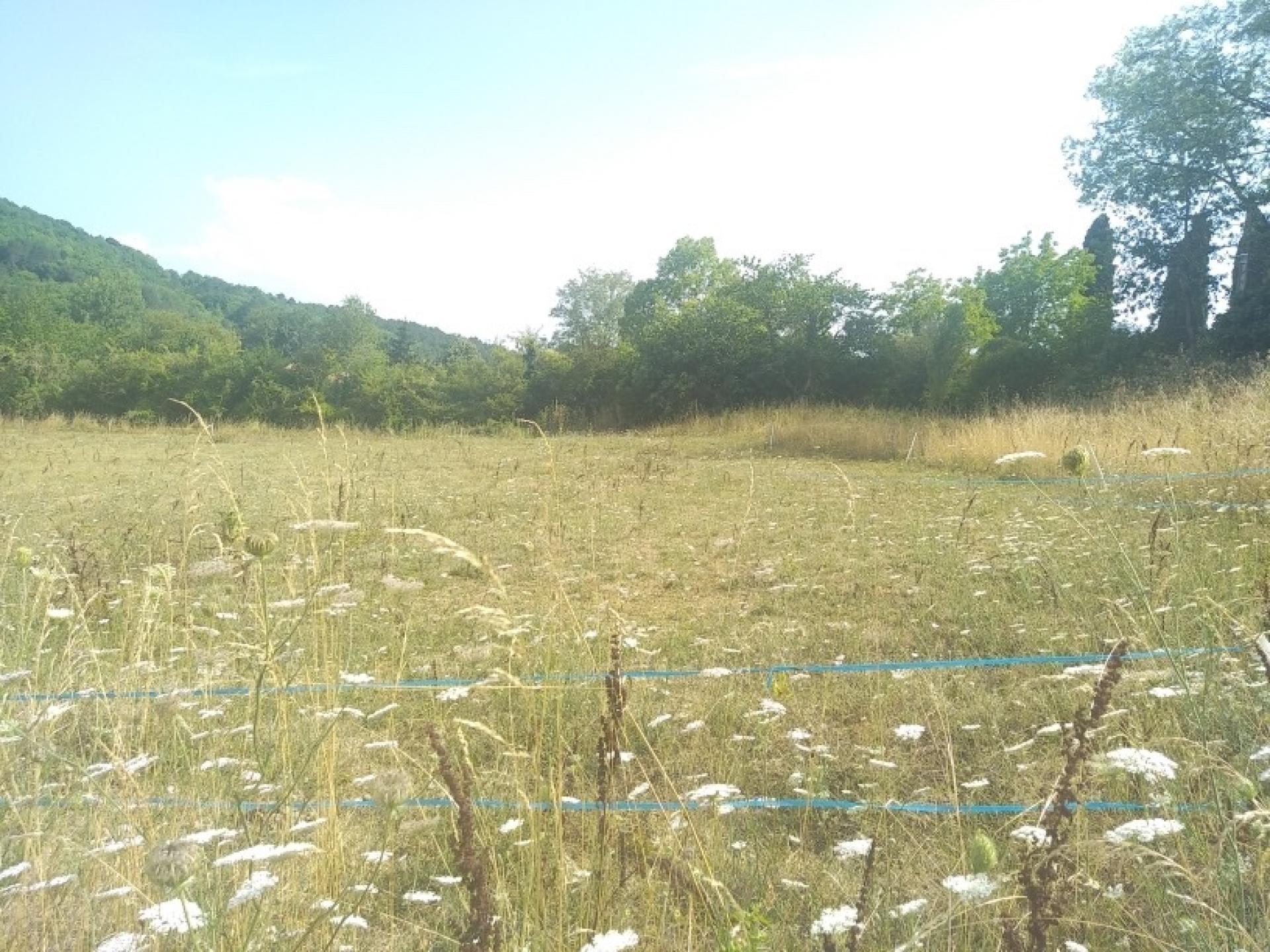 Terrain - 10 242m² · à Manses · 126 500 €