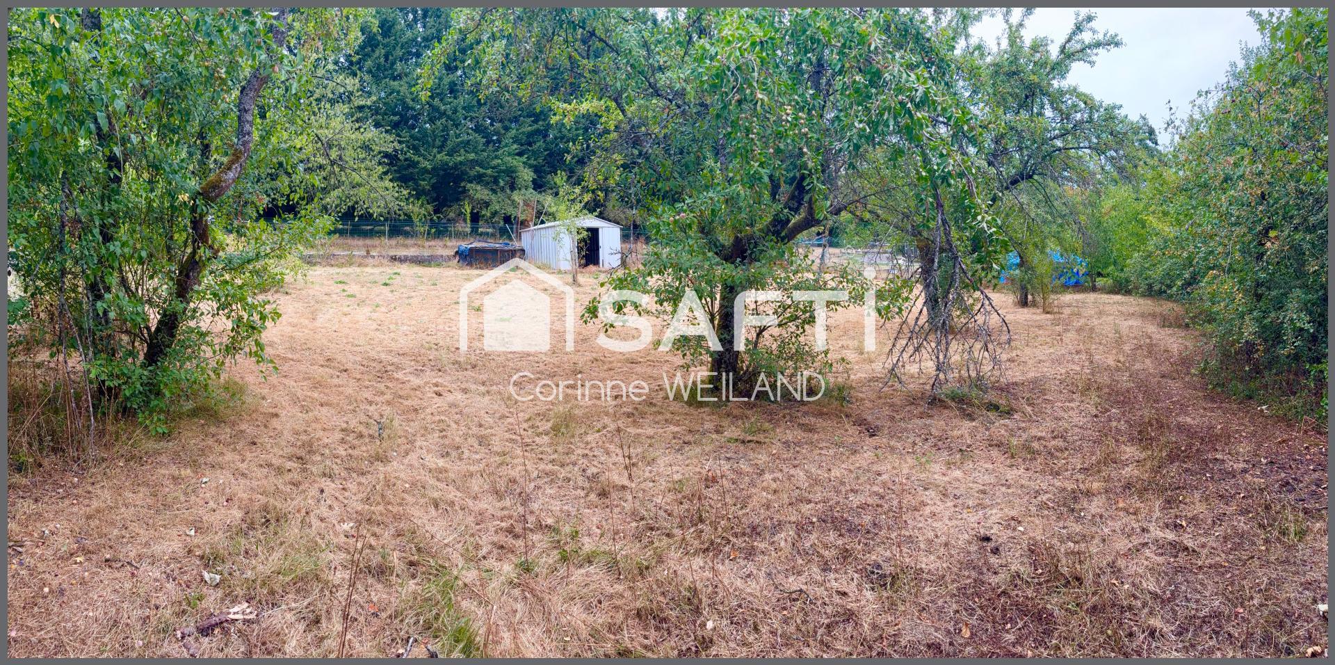 Photo-terrain