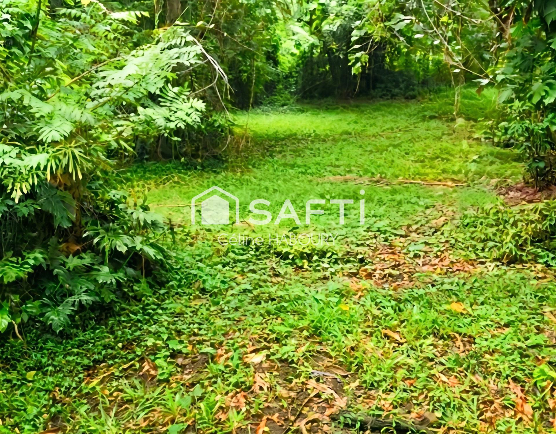 Photo-terrain