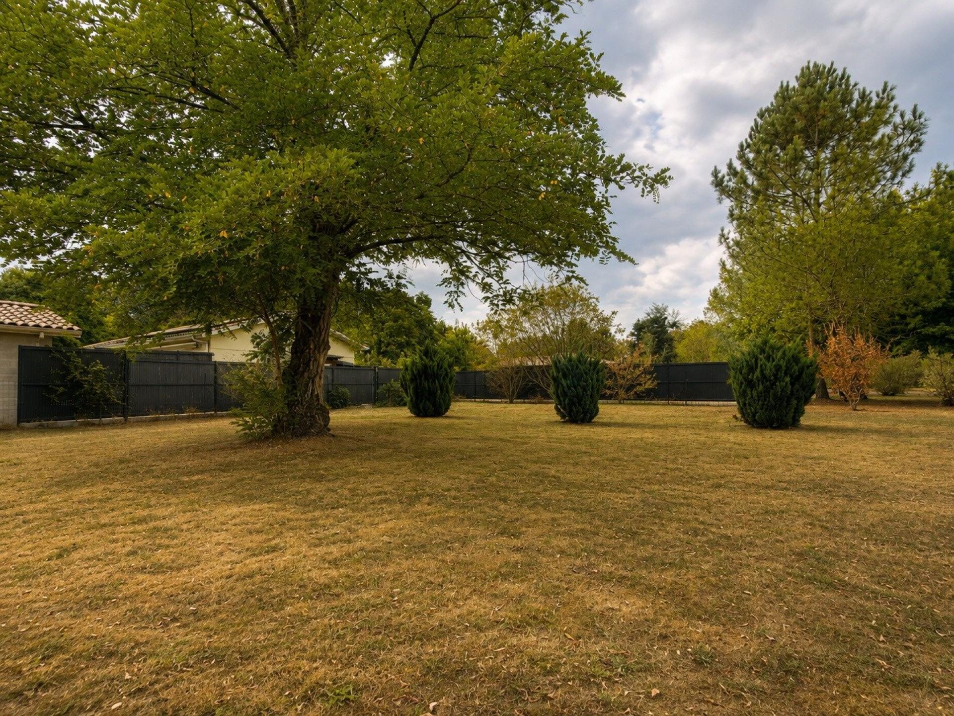 Photo-terrain