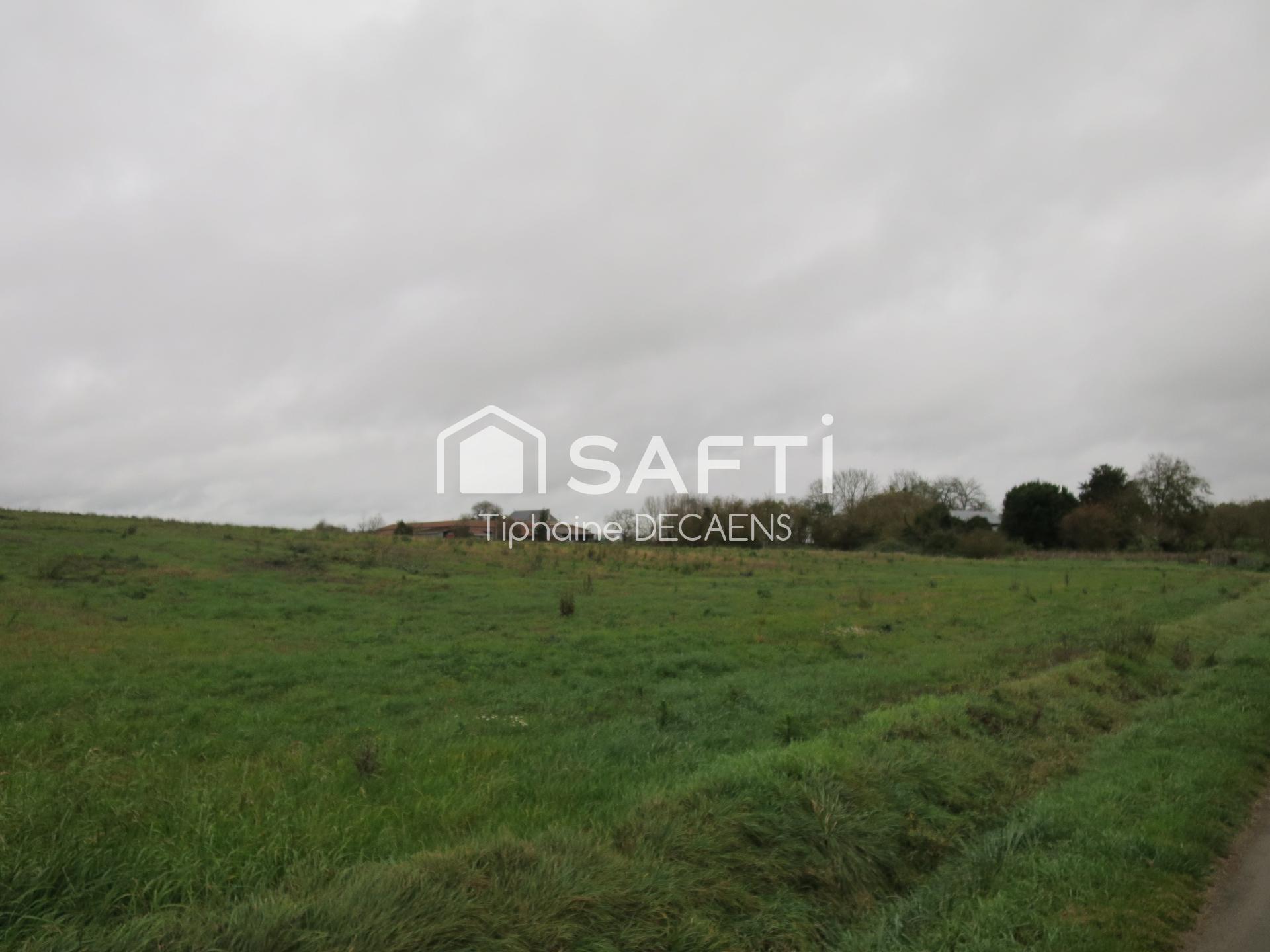 Photo-terrain