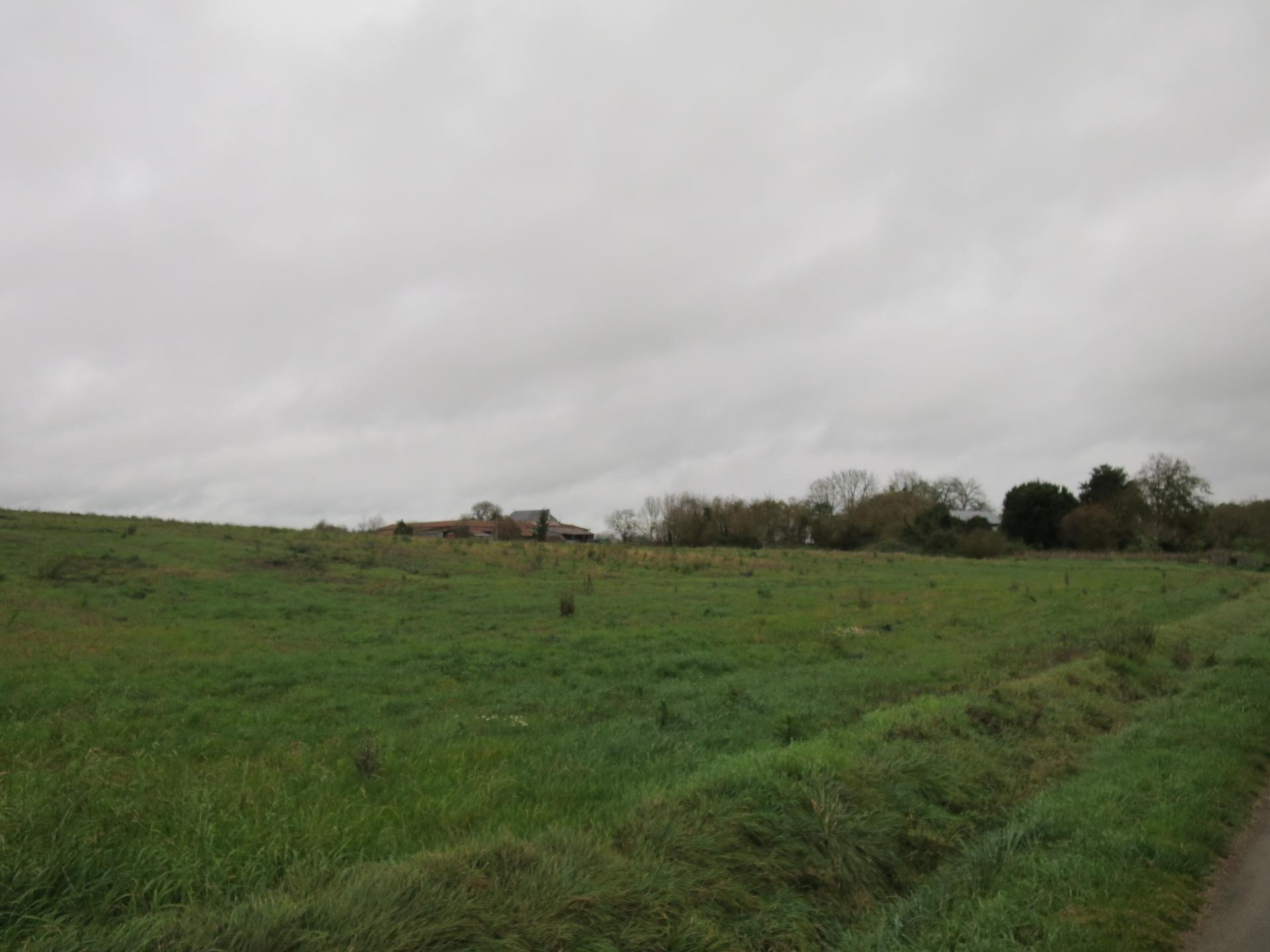 Photo-terrain