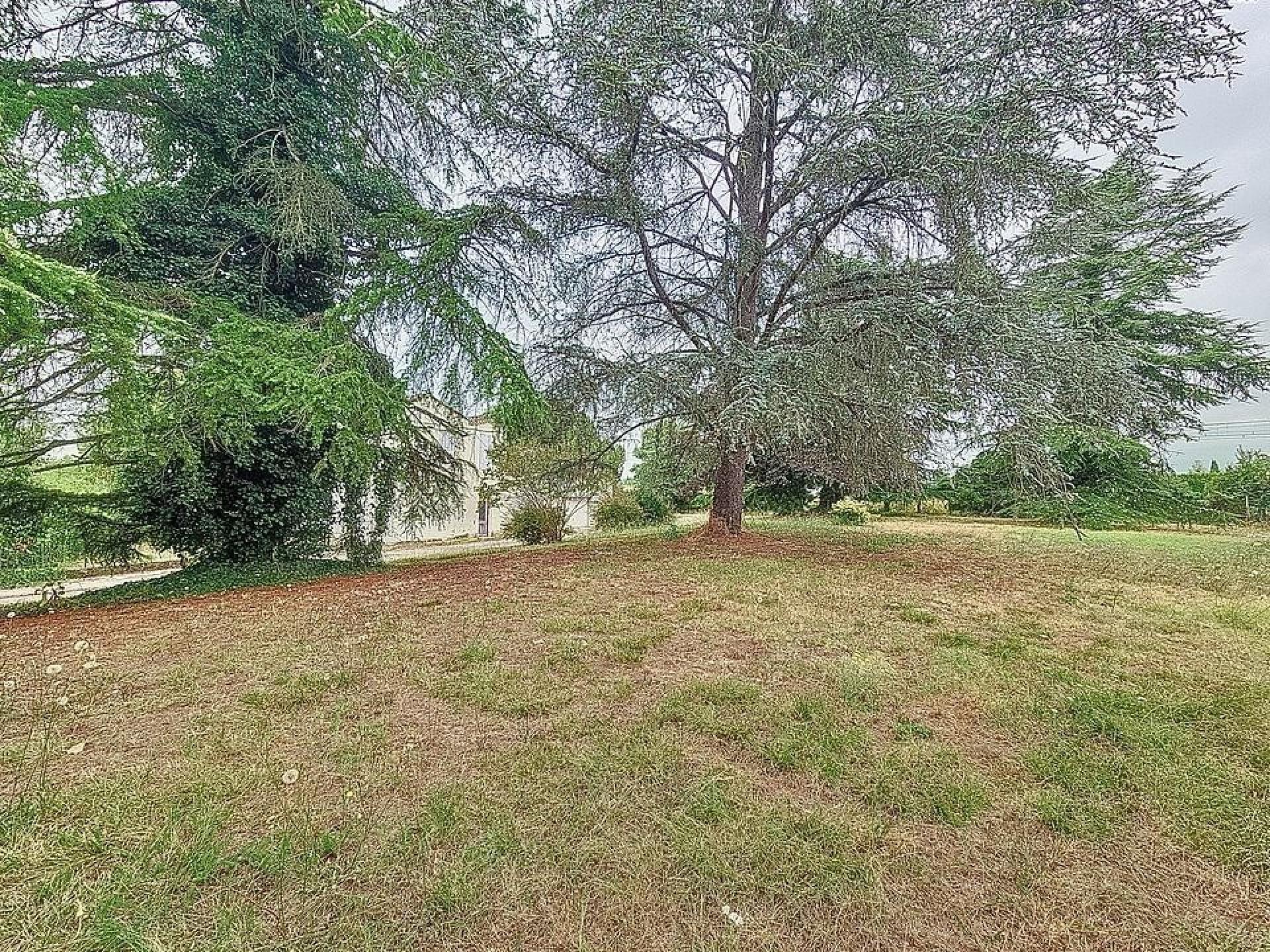 Terrain - 1 828m² · à Sainte-Bazeille · 45 000 €