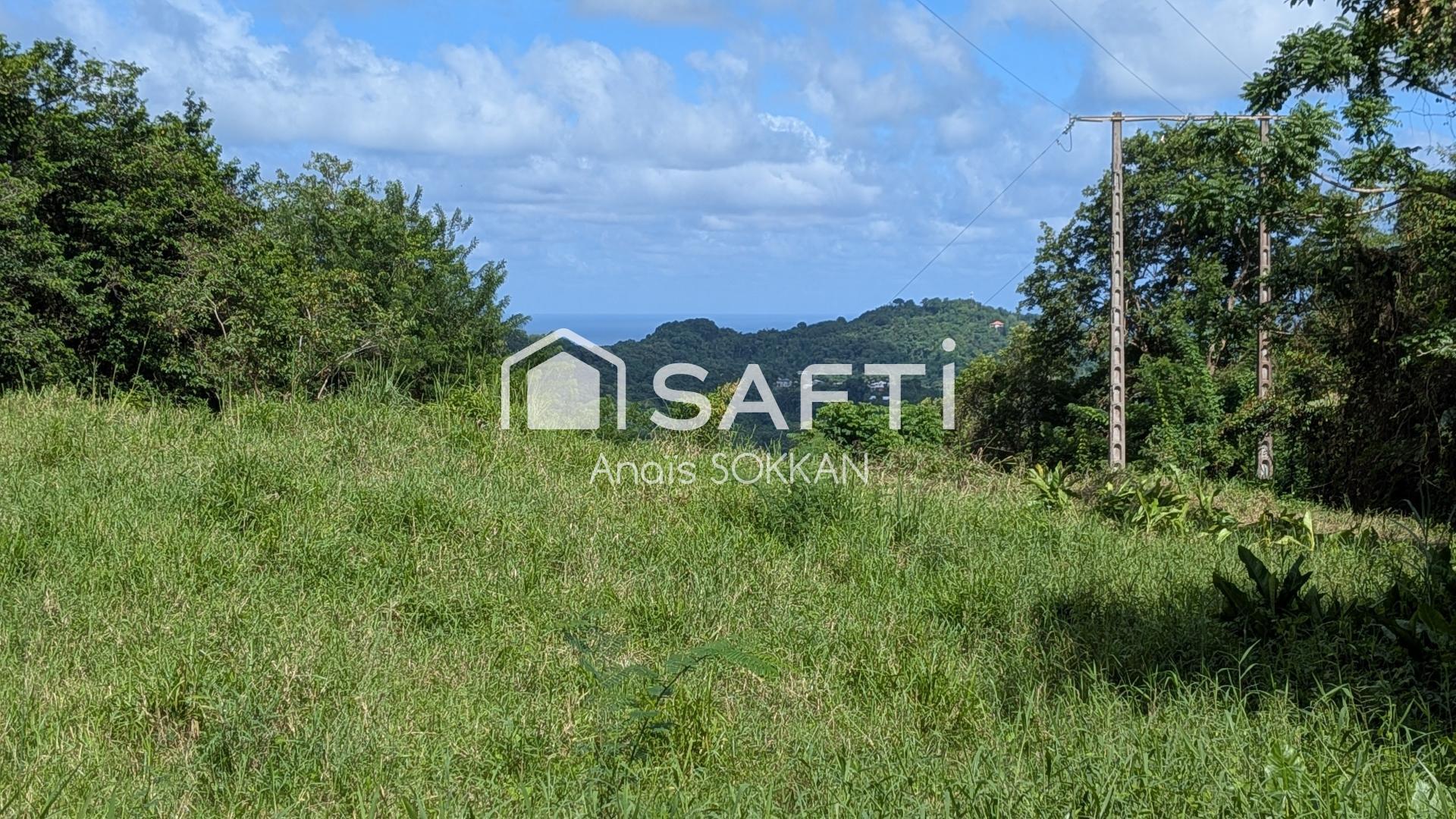 Terrain plat avec vue dégagée
