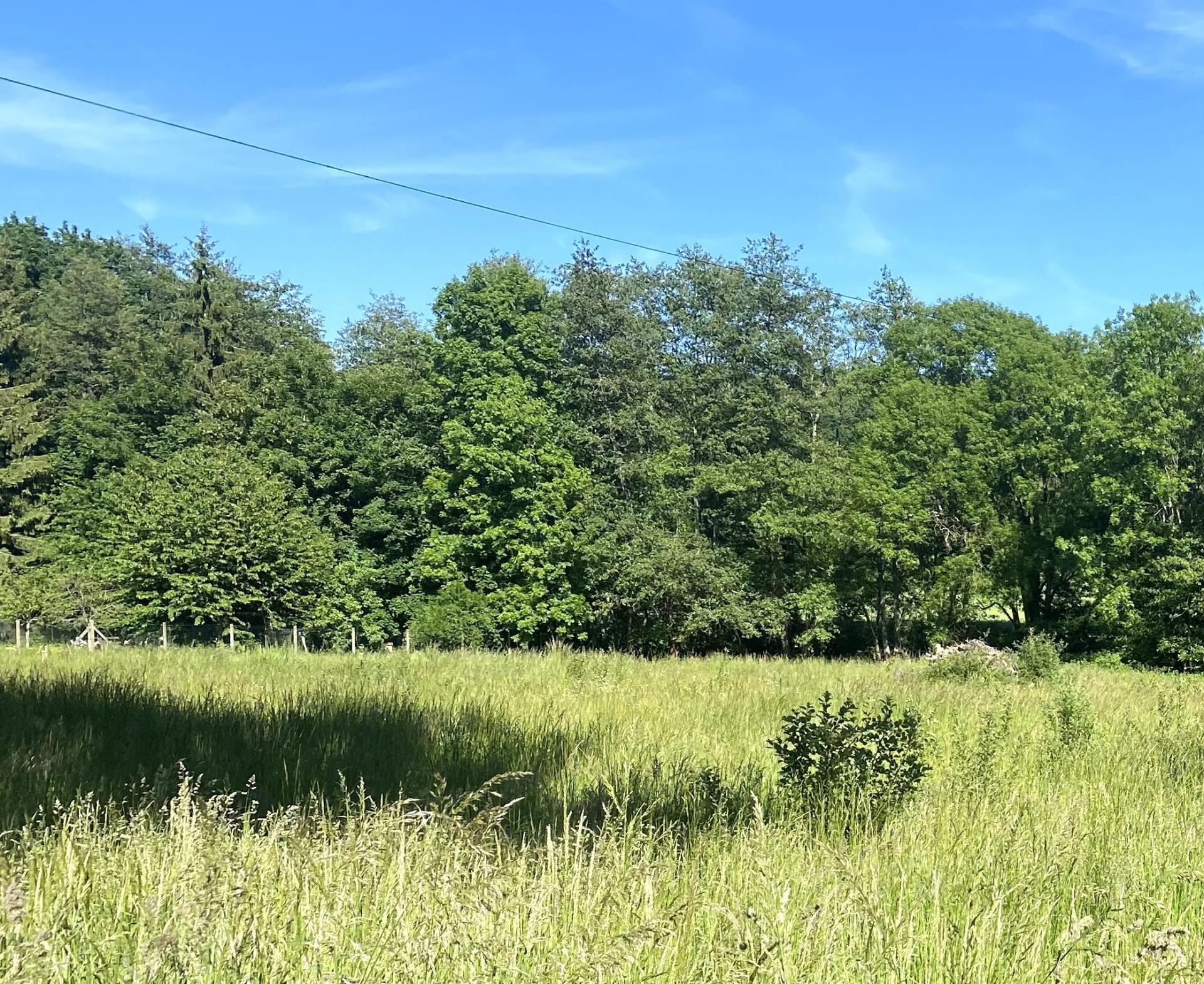 Photo-terrain