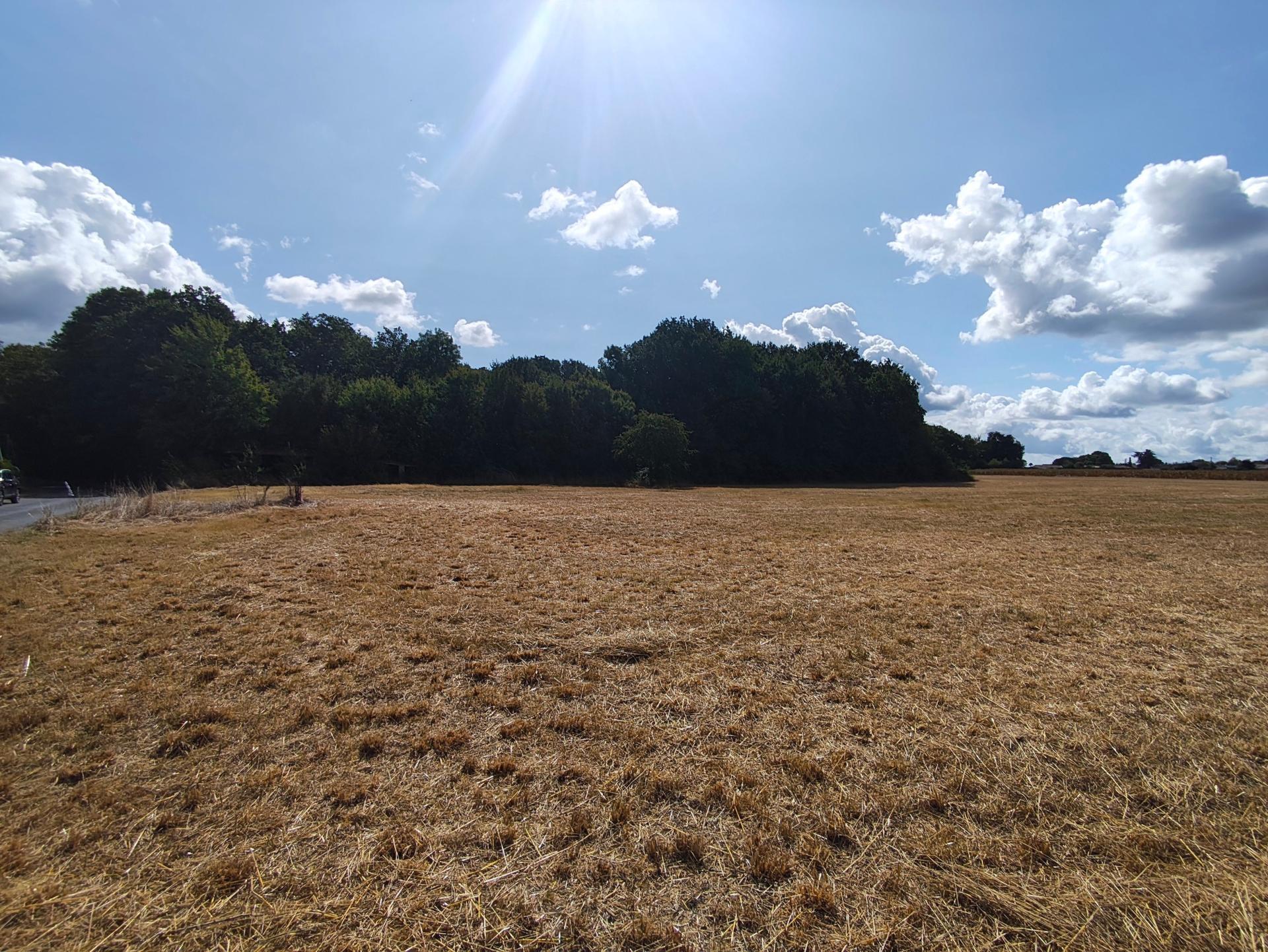 Photo-terrain