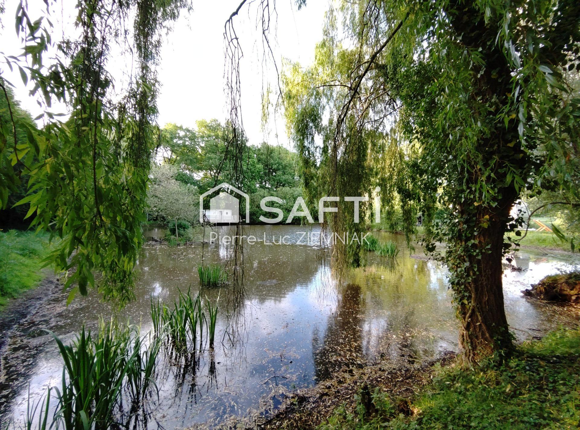 Photo-terrain