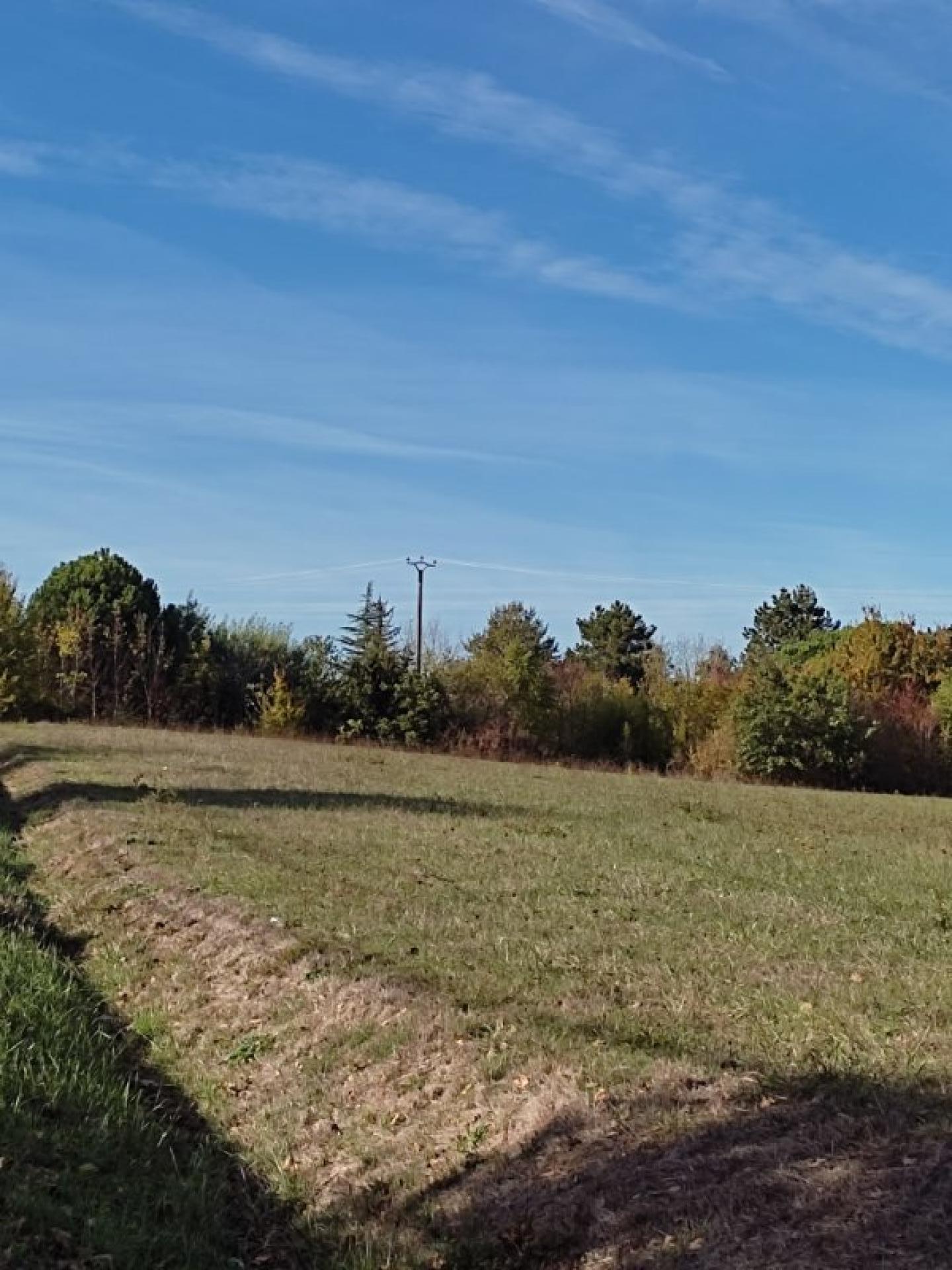 Photo 3 de l'annonce.