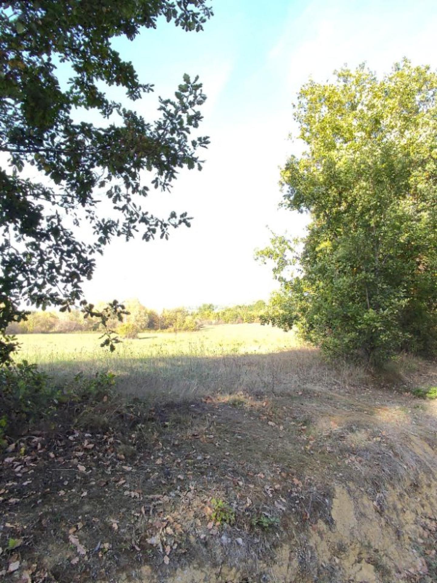 Photo 2 de l'annonce.