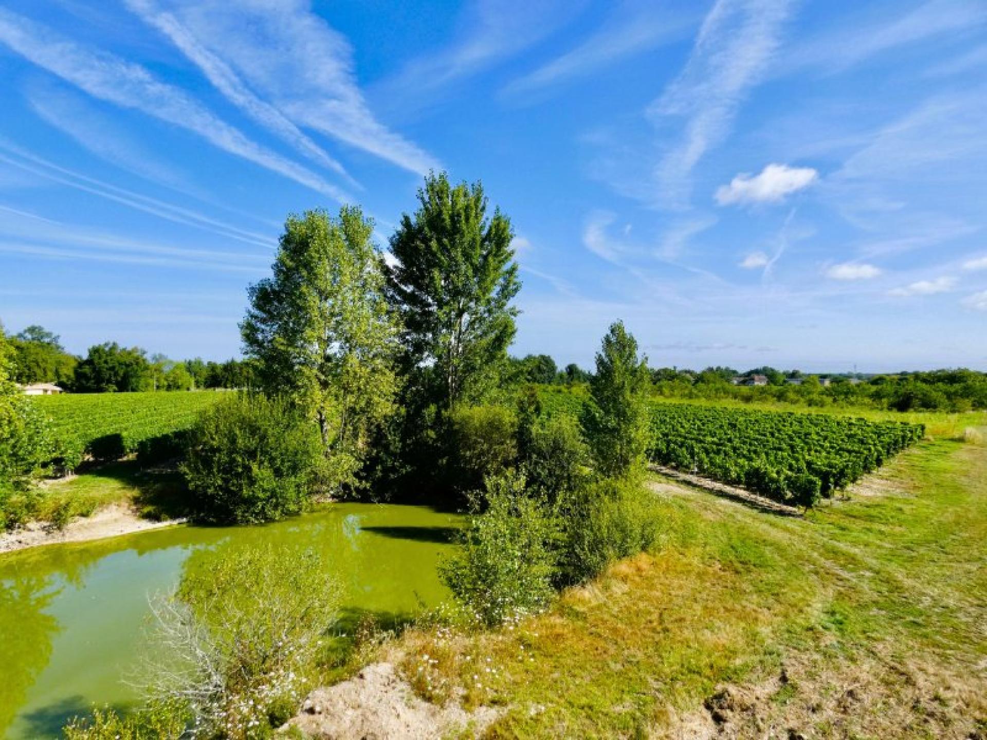 Photo 5 de l'annonce.