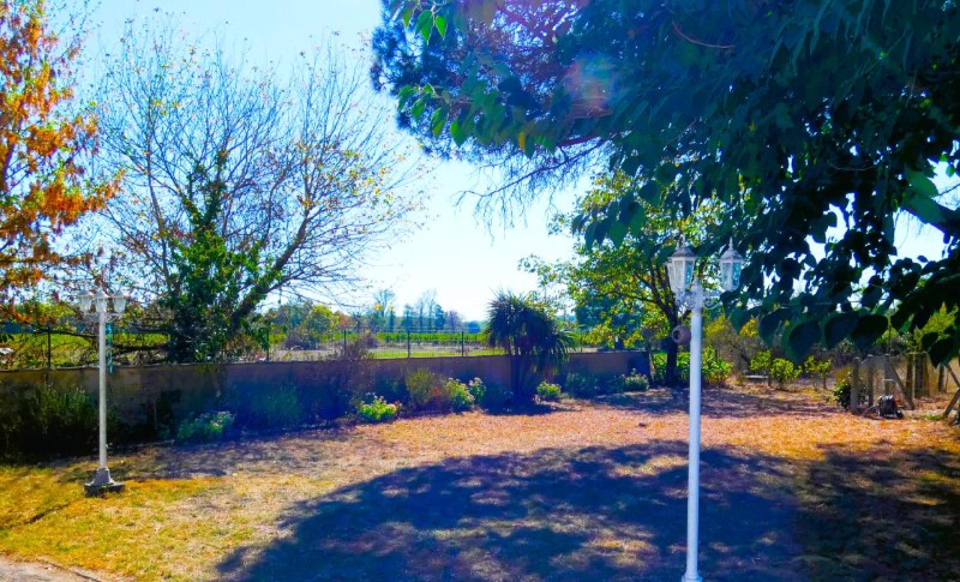 Photo 9 de l'annonce.