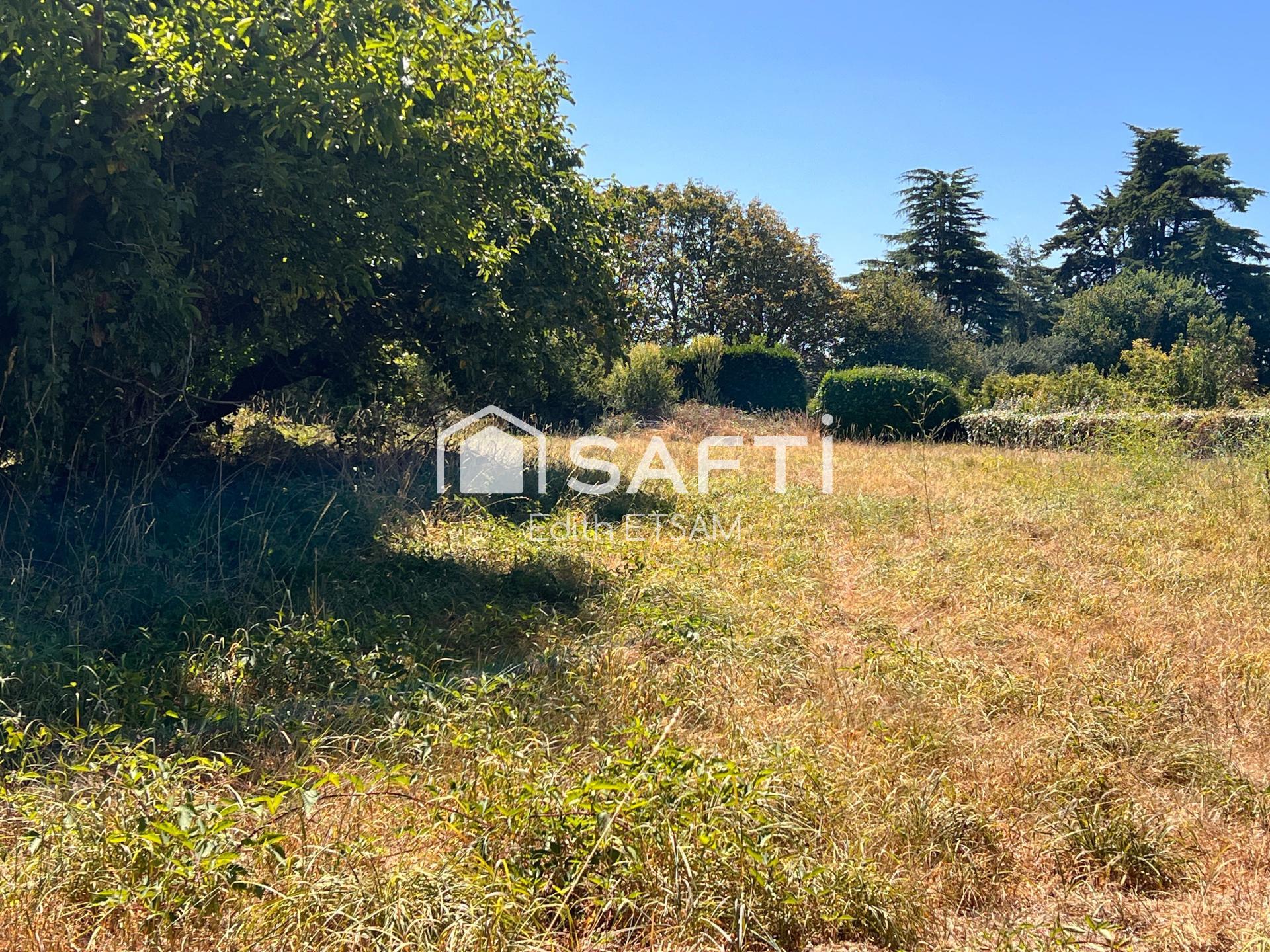 Photo-terrain
